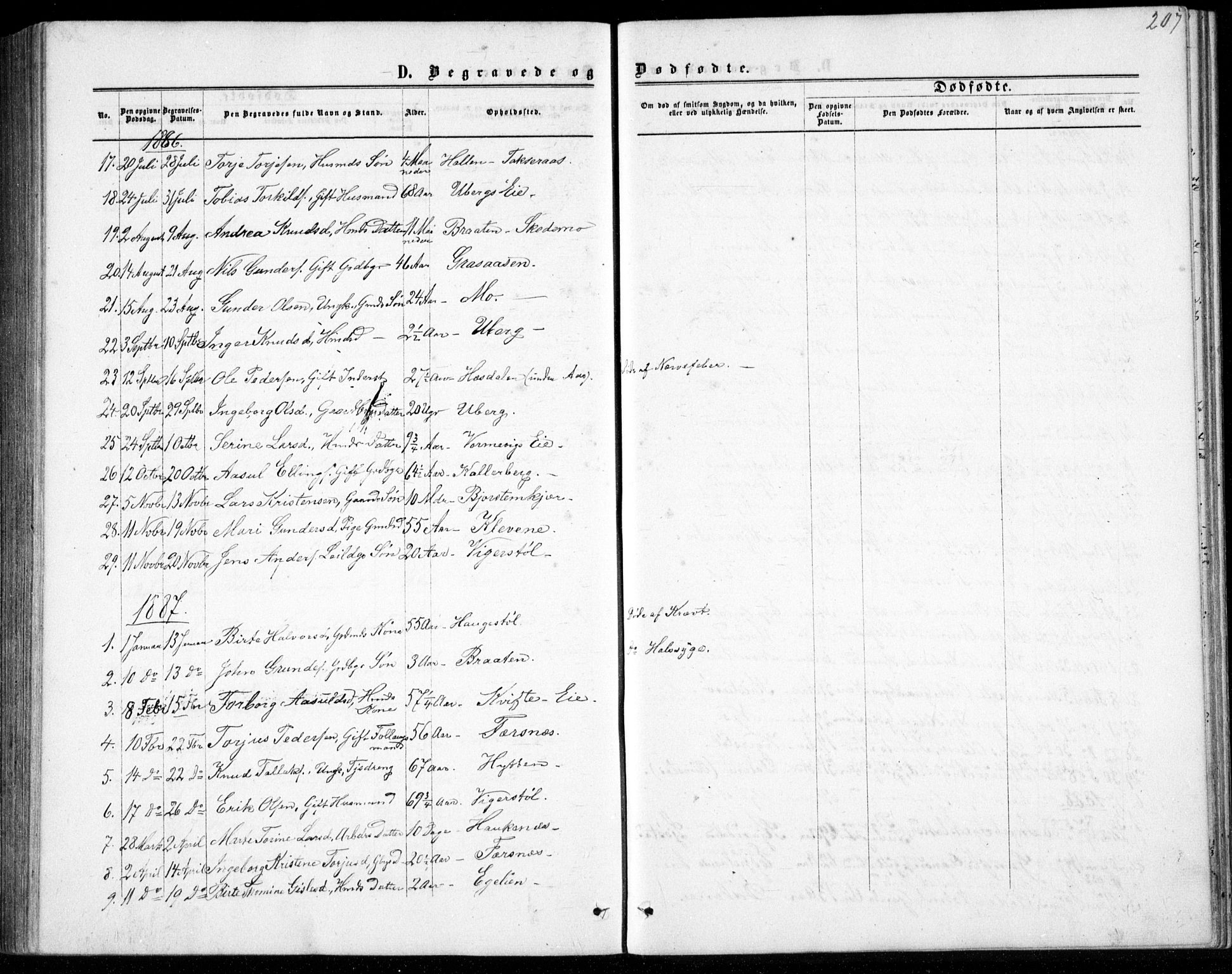 Gjerstad sokneprestkontor, SAK/1111-0014/F/Fb/Fbb/L0003: Klokkerbok nr. B 3, 1862-1889, s. 207
