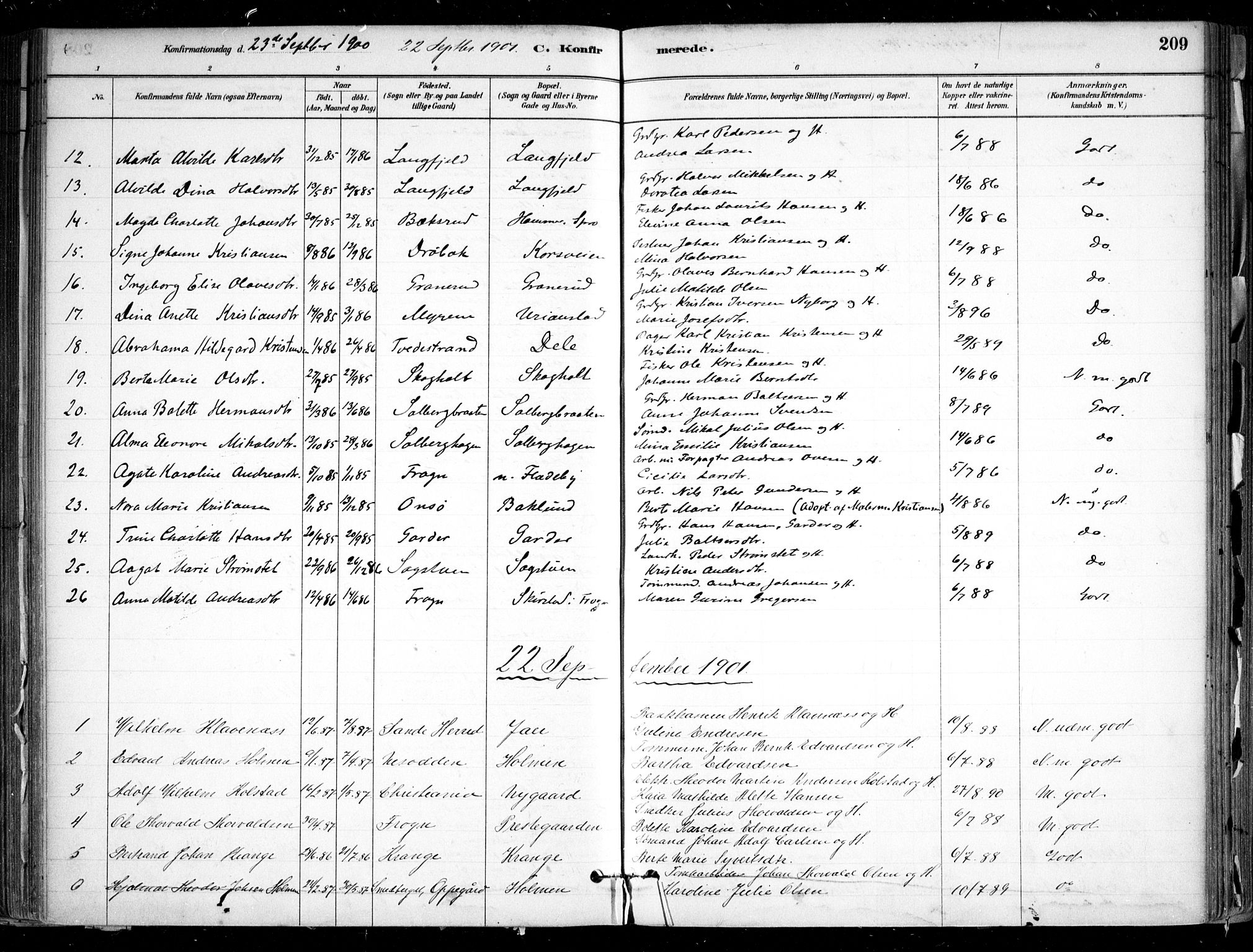 Nesodden prestekontor Kirkebøker, AV/SAO-A-10013/F/Fa/L0009: Ministerialbok nr. I 9, 1880-1915, s. 209