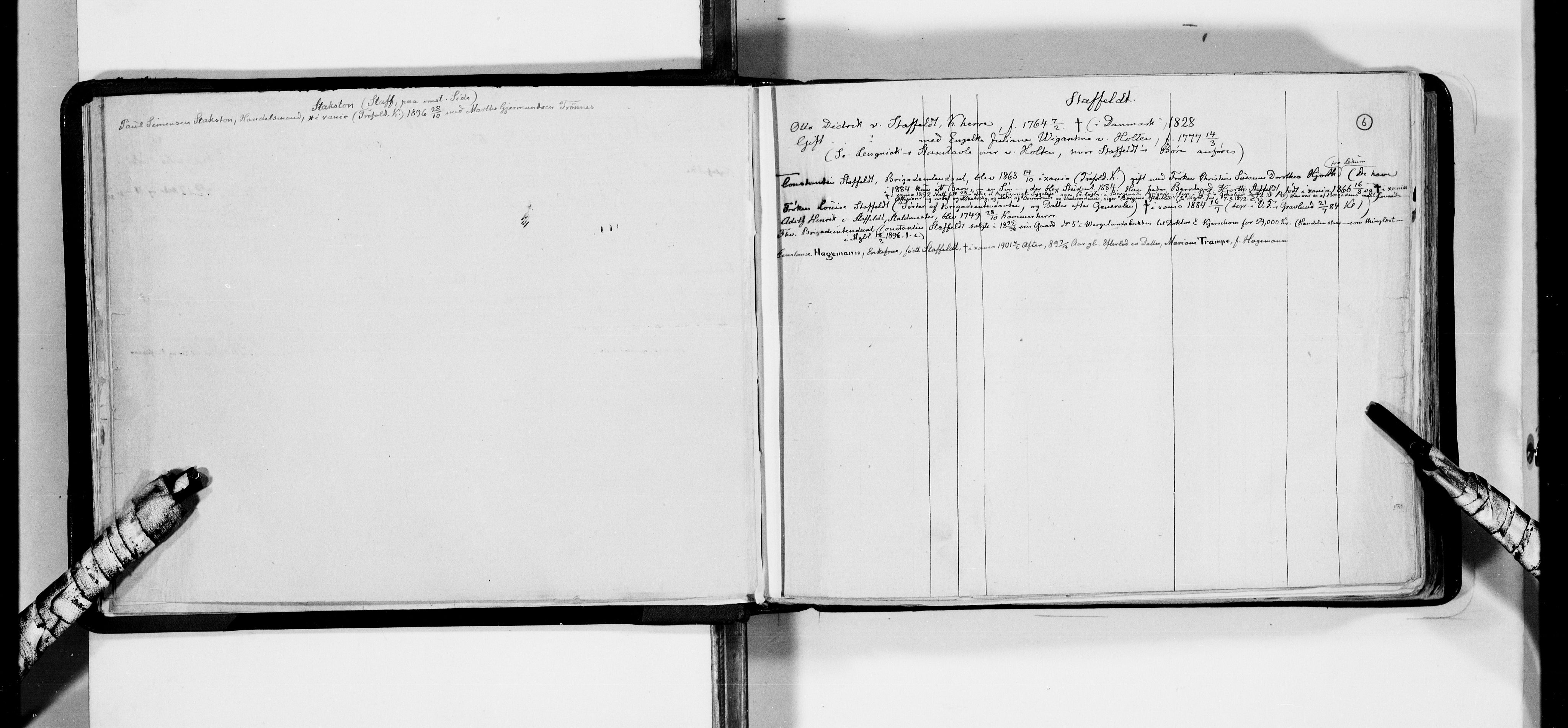 Lassens samlinger, AV/RA-PA-0051/F/Fa/L0041: Personalhistoriske og genealogiske opptegnelser: Stabenfeldt - Stuart, 1500-1907
