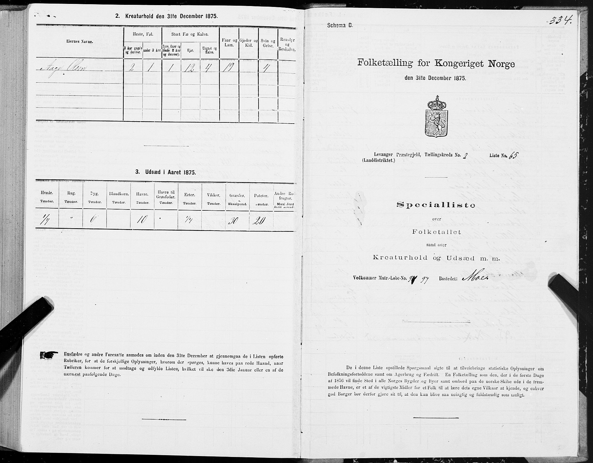 SAT, Folketelling 1875 for 1720L Levanger prestegjeld, Levanger landsokn, 1875, s. 1334