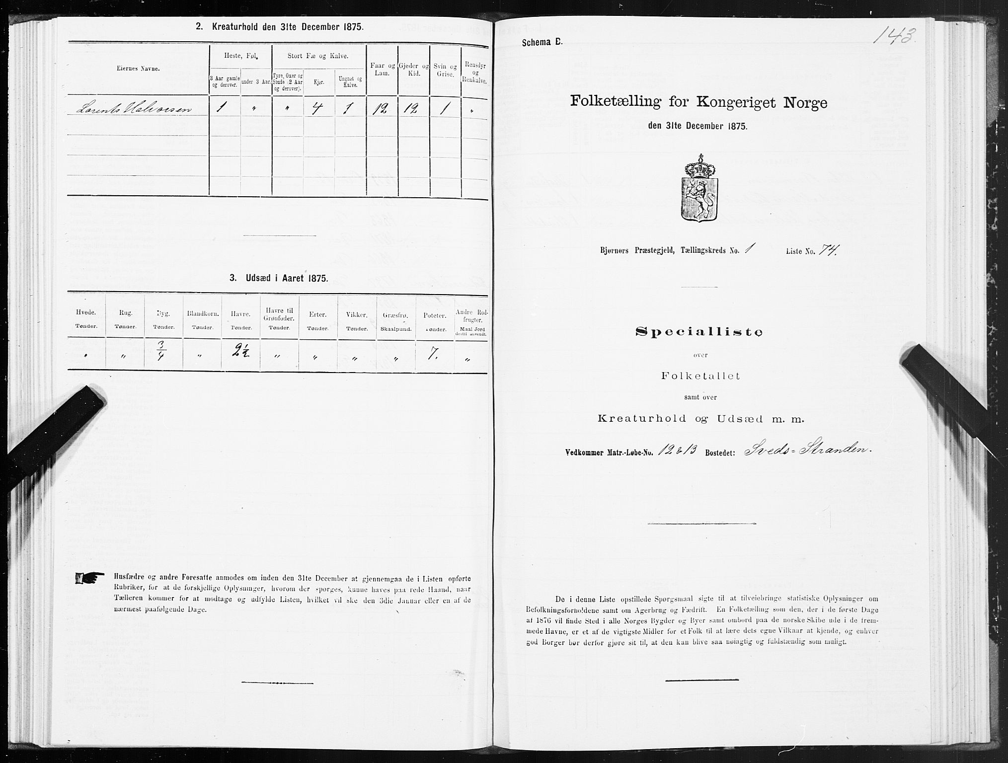 SAT, Folketelling 1875 for 1632P Bjørnør prestegjeld, 1875, s. 1143