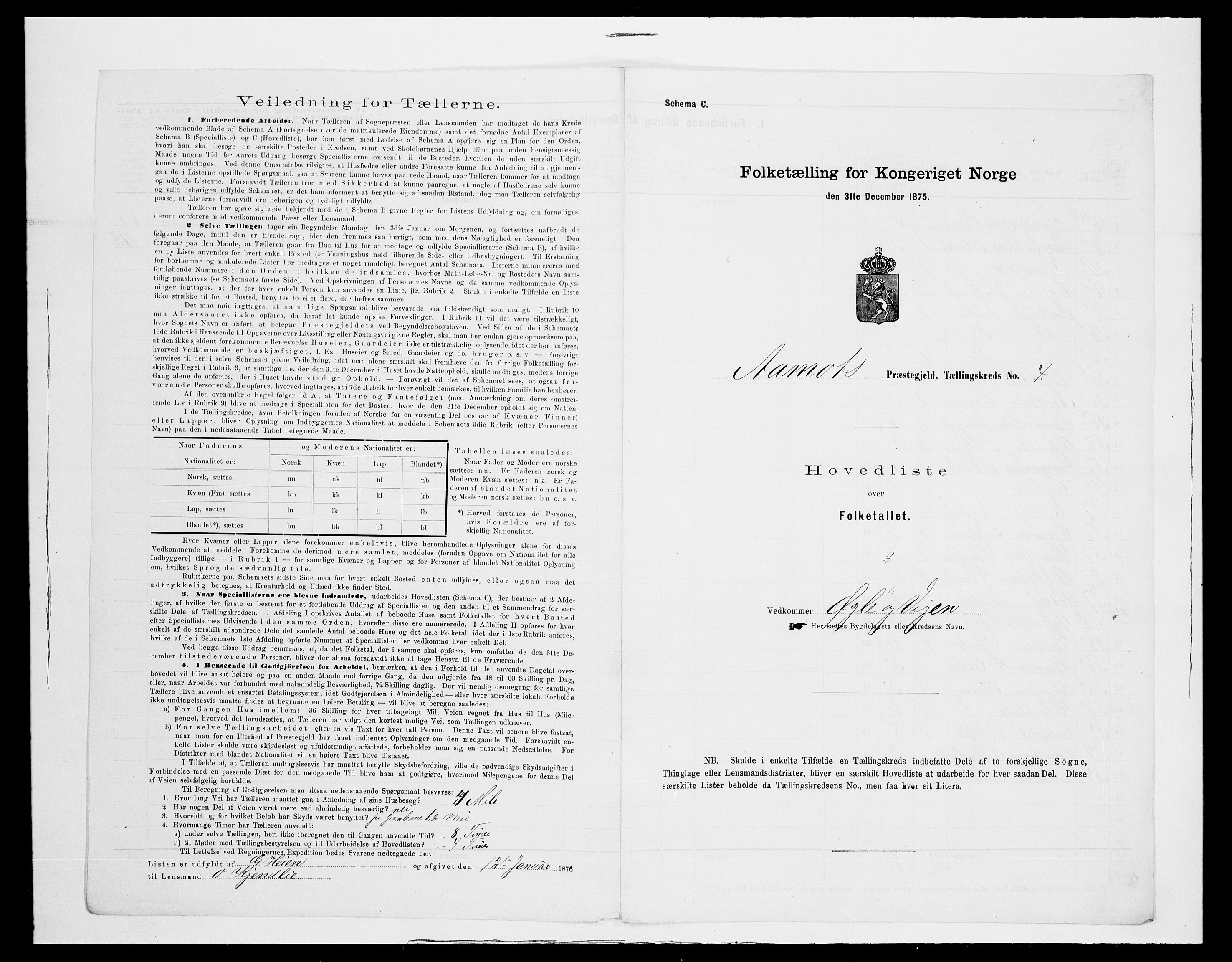 SAH, Folketelling 1875 for 0429P Åmot prestegjeld, 1875, s. 31