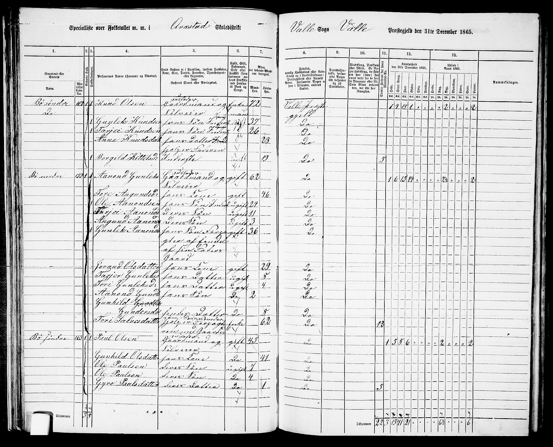 RA, Folketelling 1865 for 0940P Valle prestegjeld, 1865, s. 44