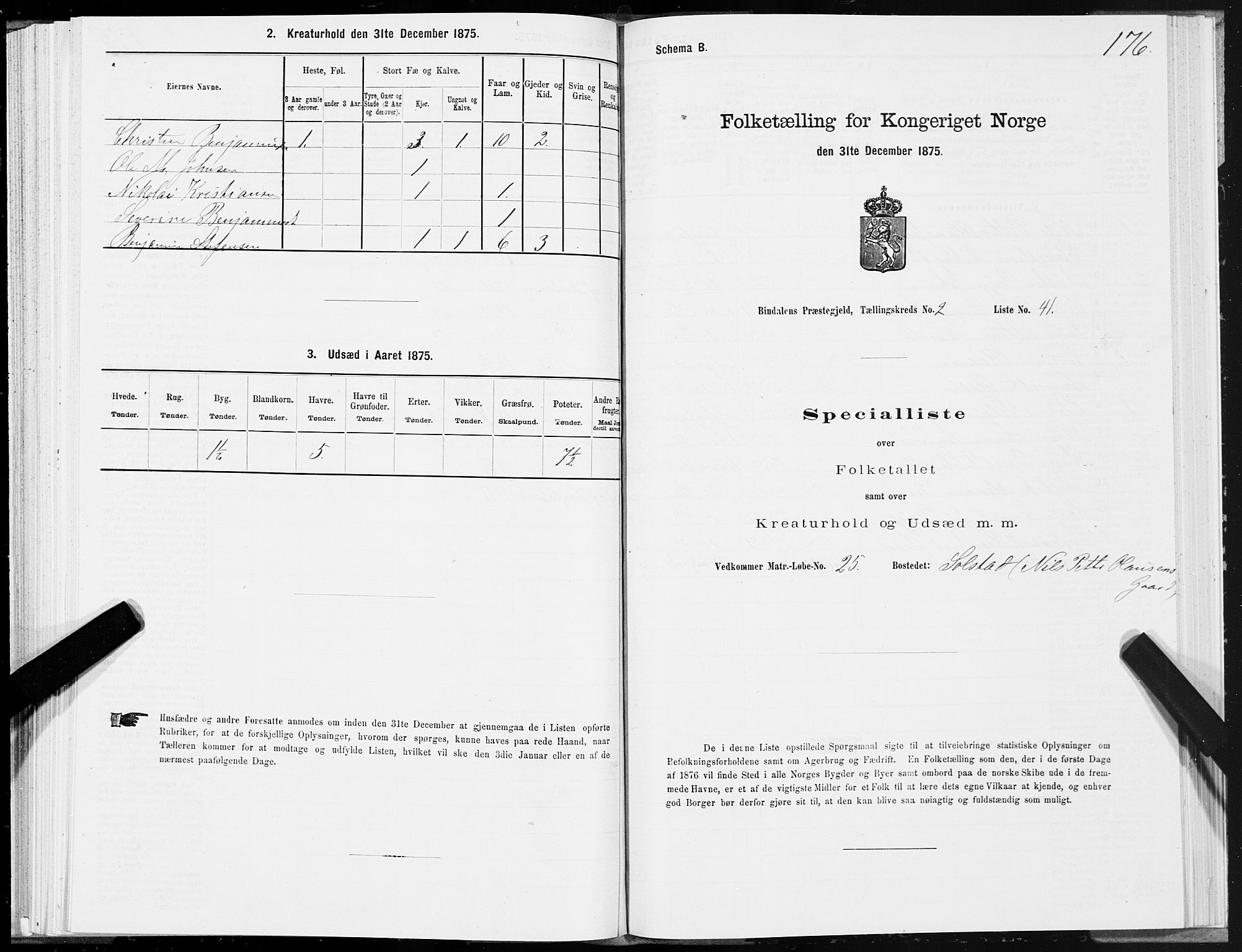 SAT, Folketelling 1875 for 1811P Bindal prestegjeld, 1875, s. 1176