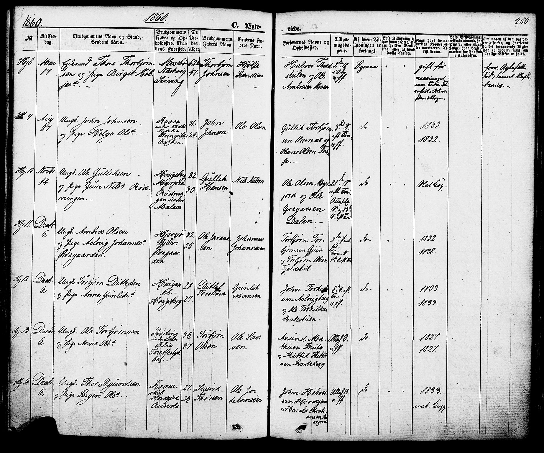 Hjartdal kirkebøker, AV/SAKO-A-270/F/Fa/L0009: Ministerialbok nr. I 9, 1860-1879, s. 250