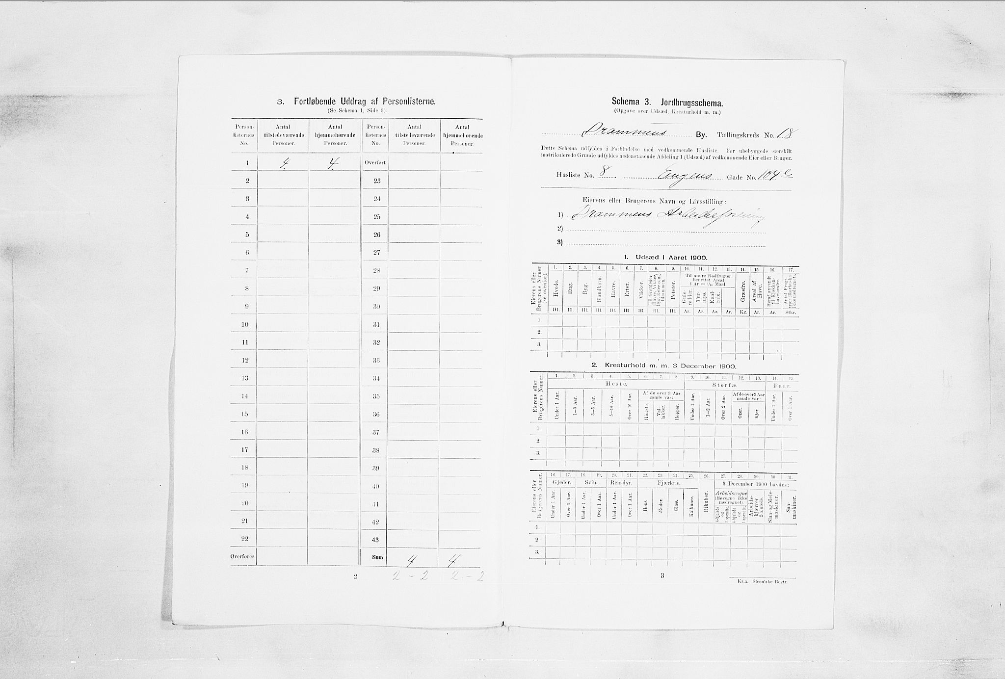 RA, Folketelling 1900 for 0602 Drammen kjøpstad, 1900, s. 3221