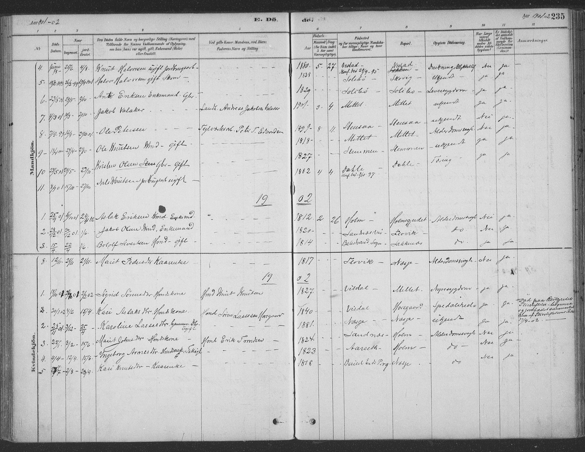 Ministerialprotokoller, klokkerbøker og fødselsregistre - Møre og Romsdal, AV/SAT-A-1454/547/L0604: Ministerialbok nr. 547A06, 1878-1906, s. 235