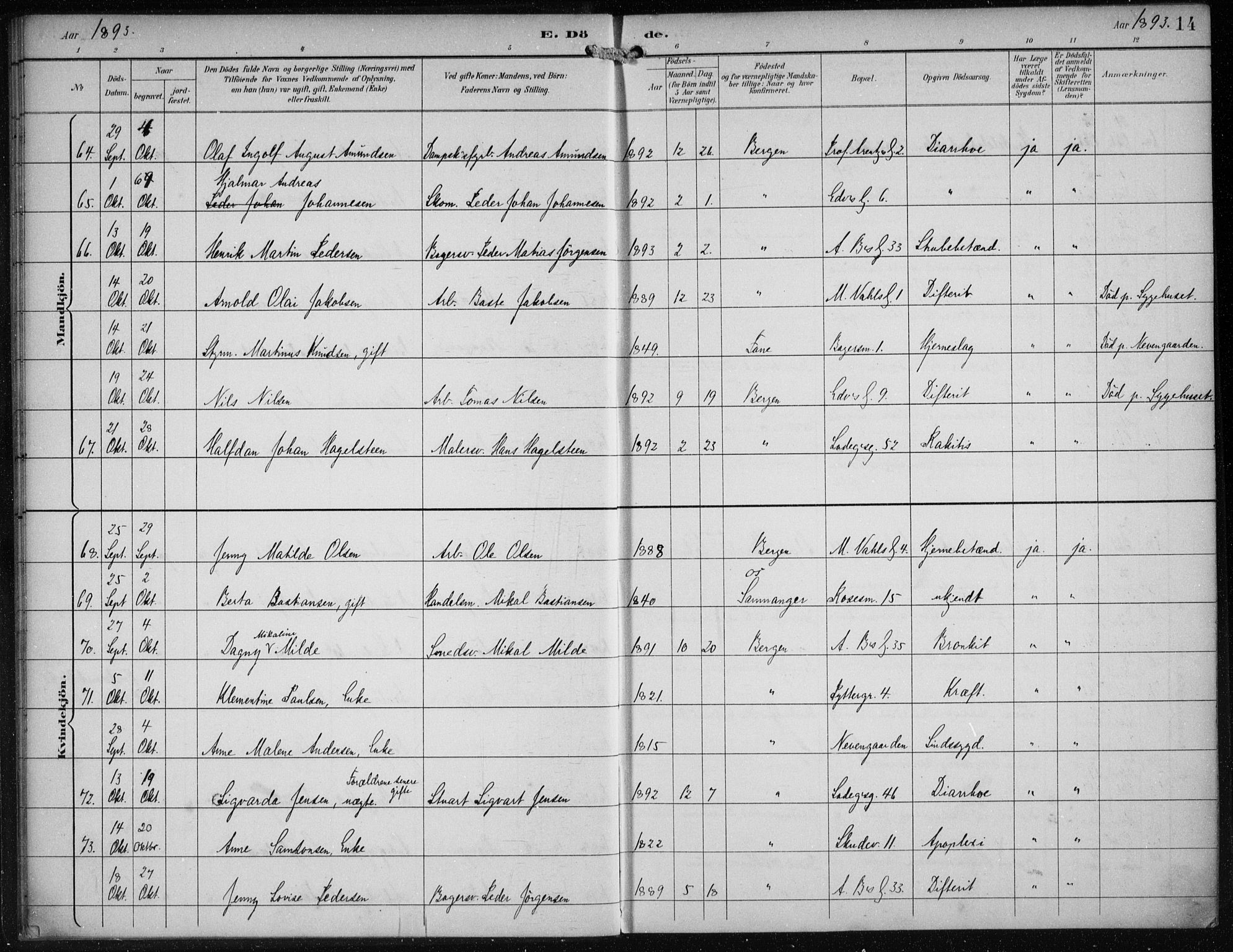 Sandviken Sokneprestembete, AV/SAB-A-77601/H/Ha/L0018: Ministerialbok nr. E 1, 1893-1905, s. 14