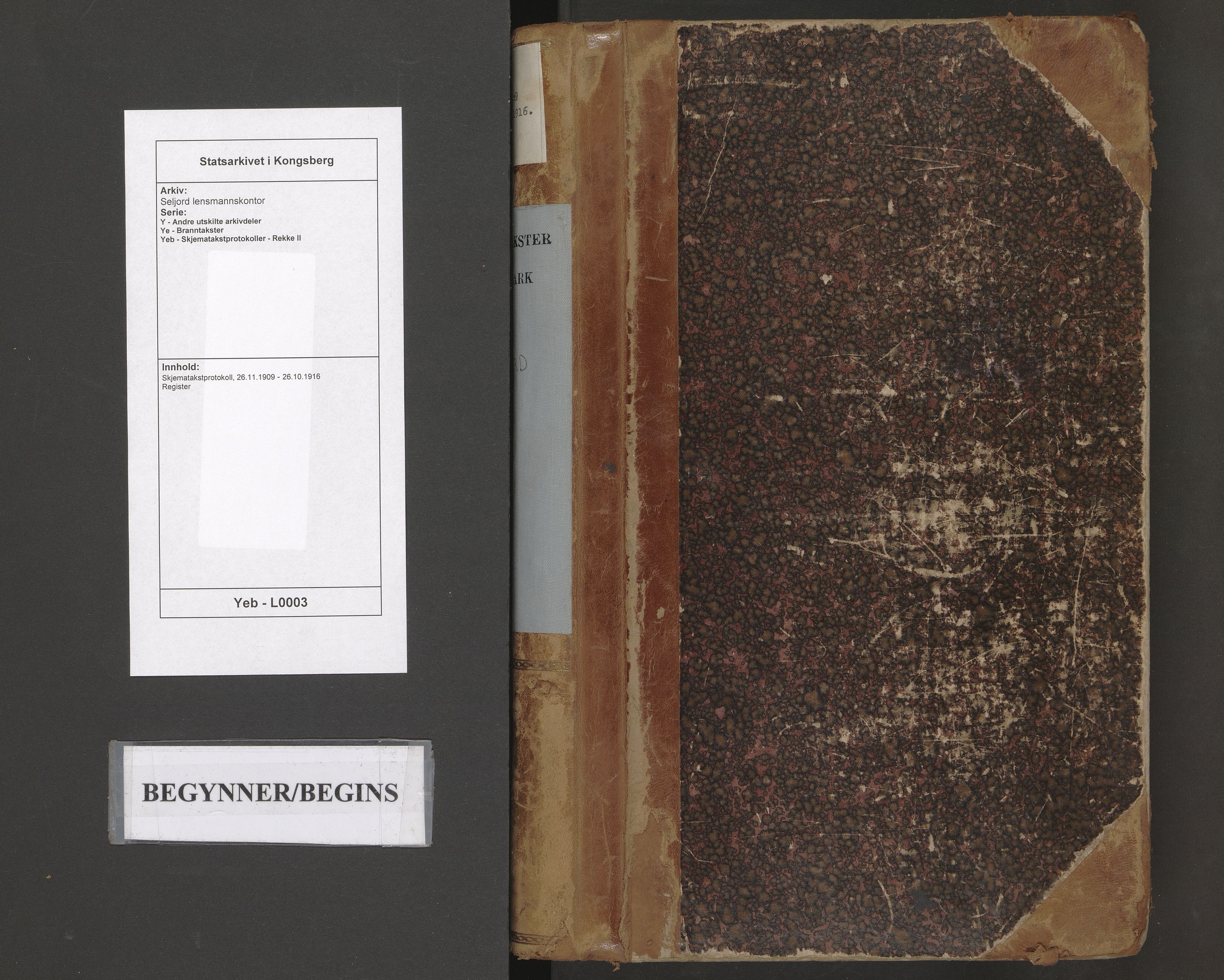 Seljord lensmannskontor, AV/SAKO-A-572/Y/Ye/Yeb/L0003: Skjematakstprotokoll, 1909-1916
