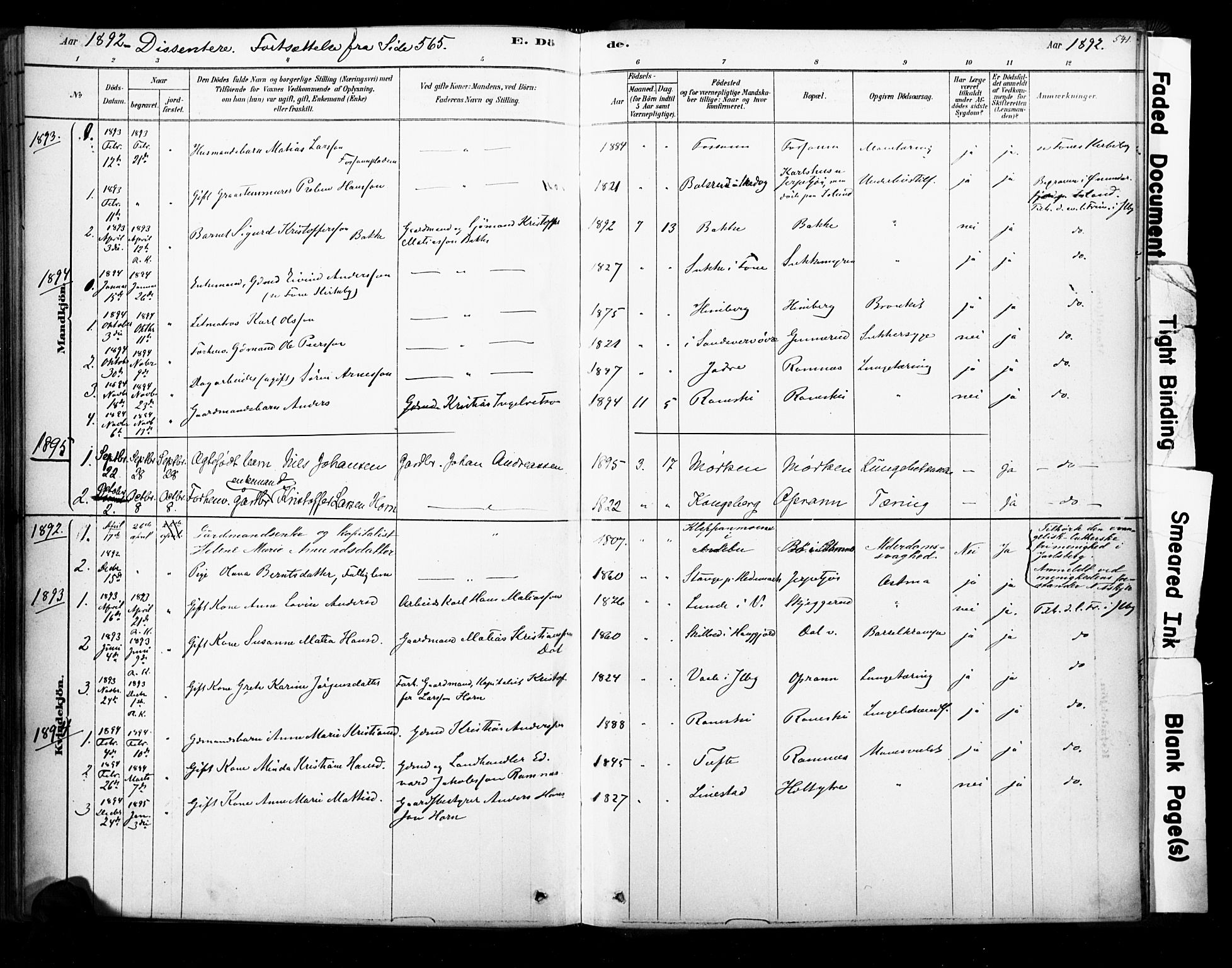 Ramnes kirkebøker, AV/SAKO-A-314/F/Fa/L0007: Ministerialbok nr. I 7, 1878-1895, s. 540-541