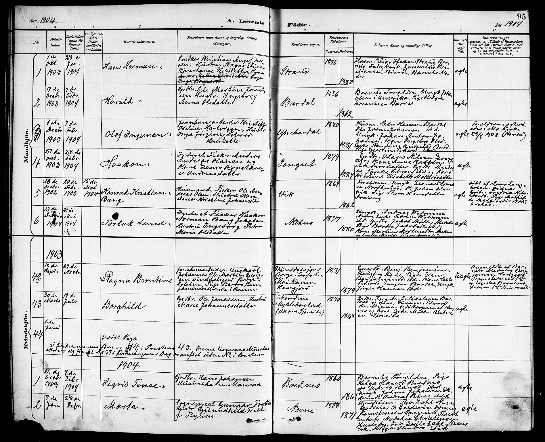 Ministerialprotokoller, klokkerbøker og fødselsregistre - Nordland, AV/SAT-A-1459/838/L0559: Klokkerbok nr. 838C06, 1893-1910, s. 95