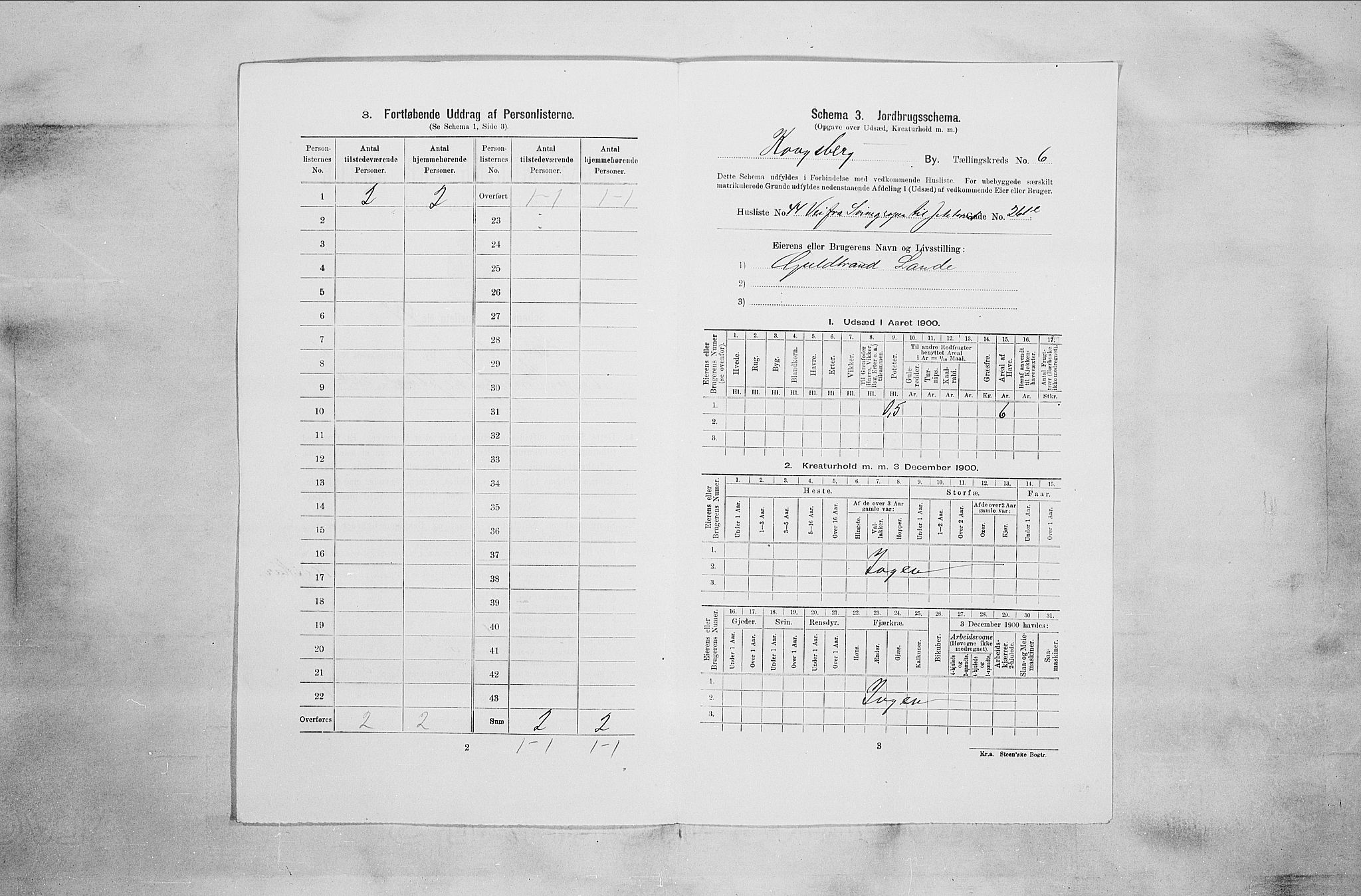 RA, Folketelling 1900 for 0604 Kongsberg kjøpstad, 1900, s. 1221