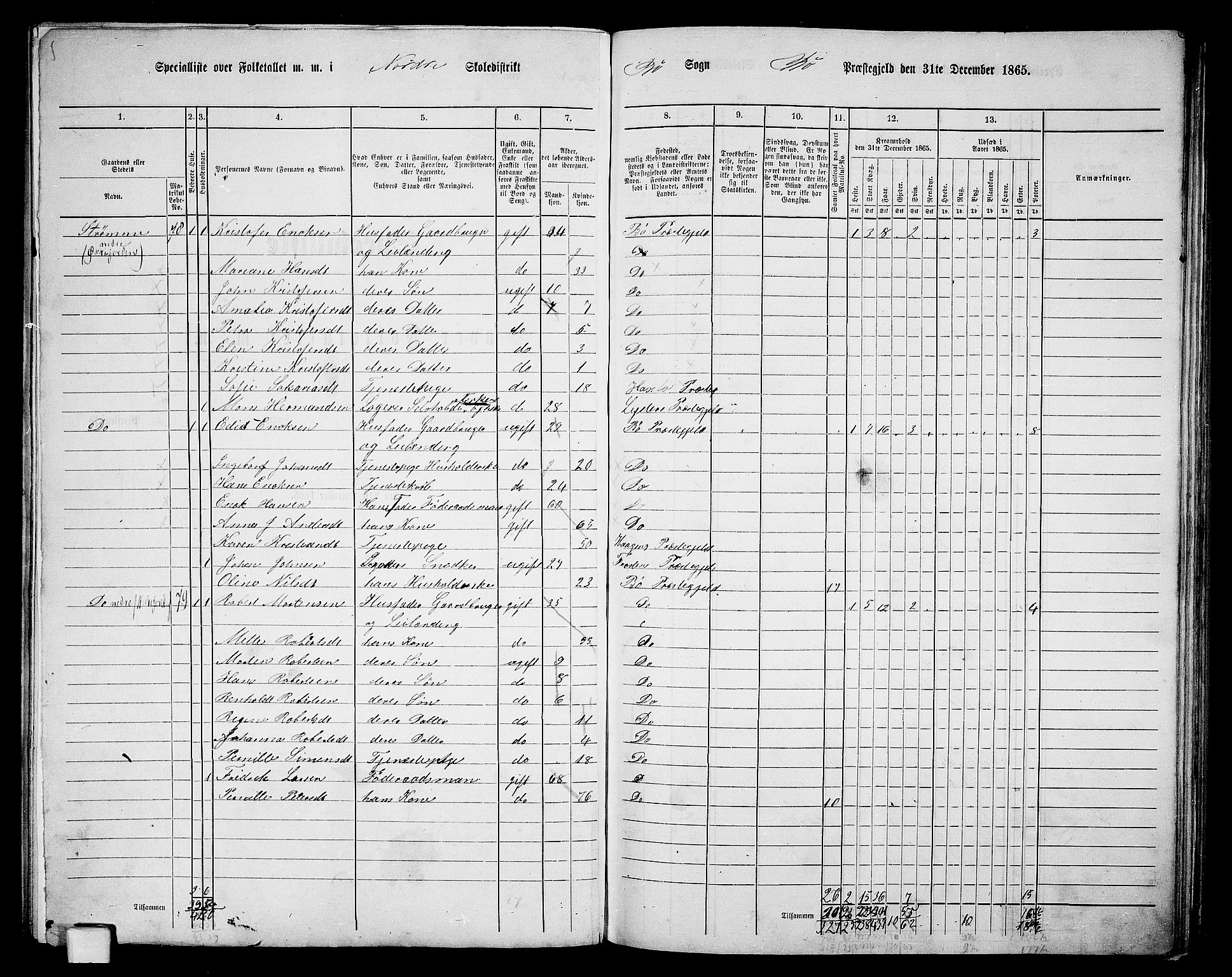 RA, Folketelling 1865 for 1867P Bø prestegjeld, 1865, s. 19