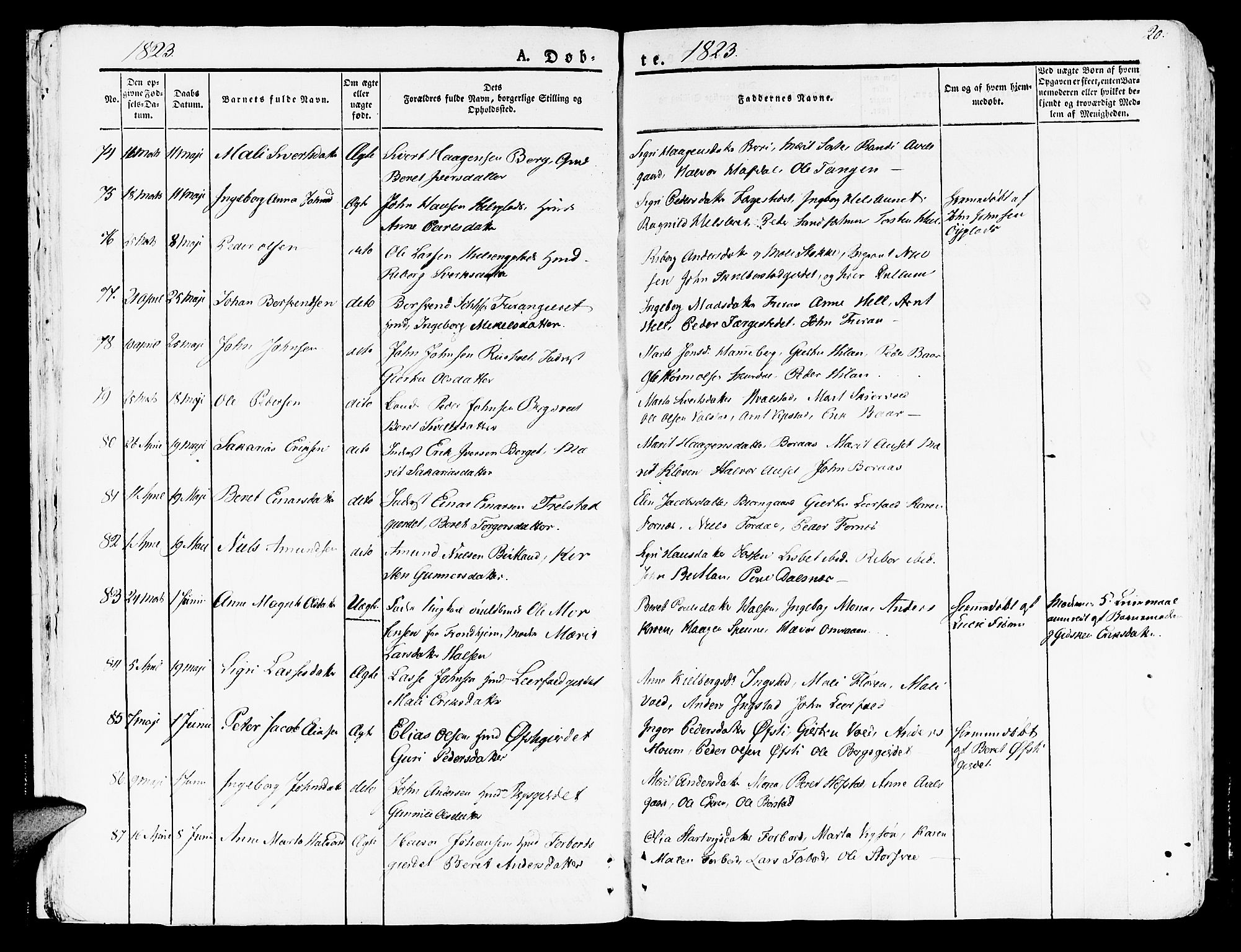 Ministerialprotokoller, klokkerbøker og fødselsregistre - Nord-Trøndelag, AV/SAT-A-1458/709/L0070: Ministerialbok nr. 709A10, 1820-1832, s. 20