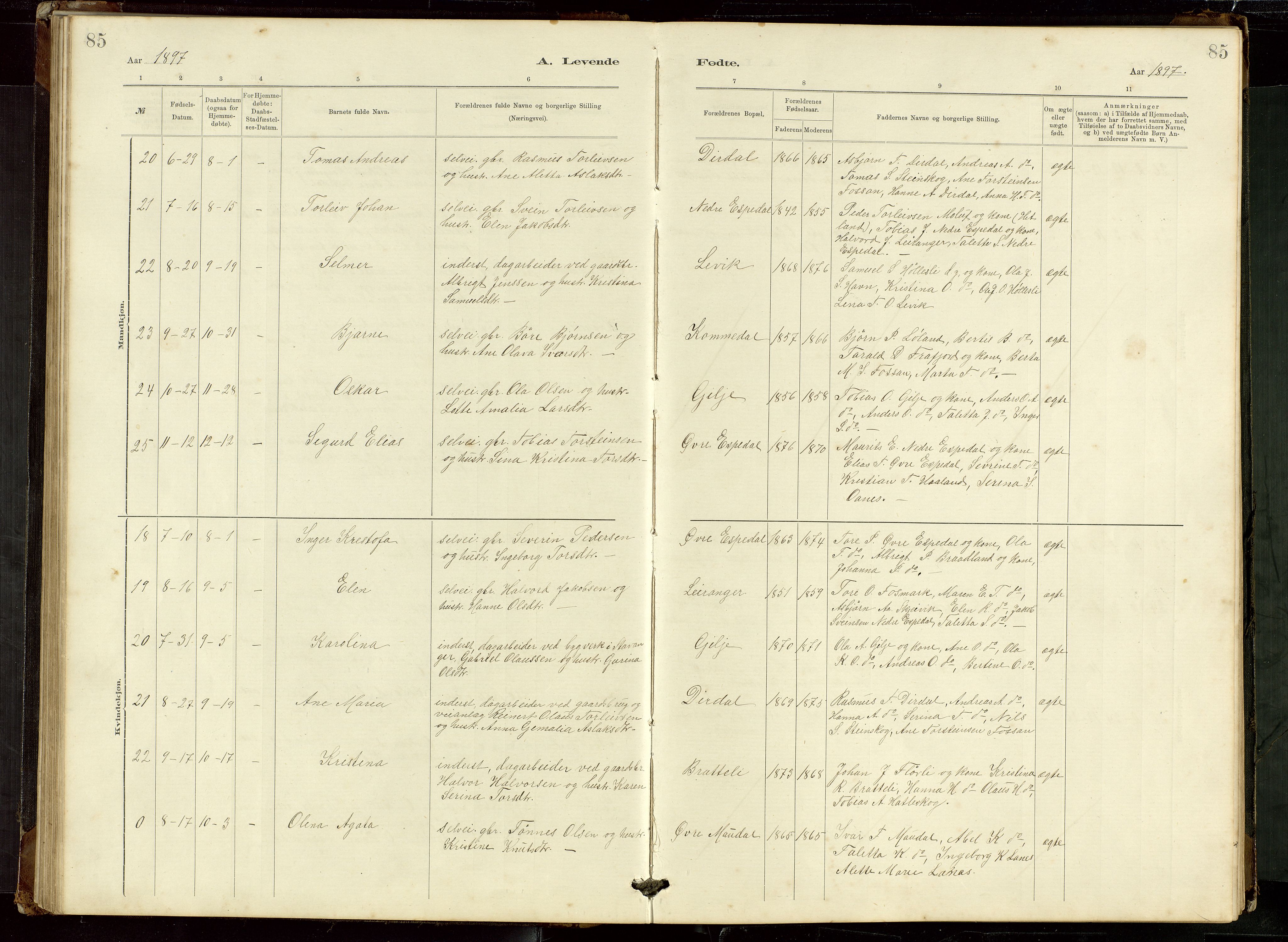 Høgsfjord sokneprestkontor, AV/SAST-A-101624/H/Ha/Hab/L0009: Klokkerbok nr. B 9, 1883-1920, s. 85