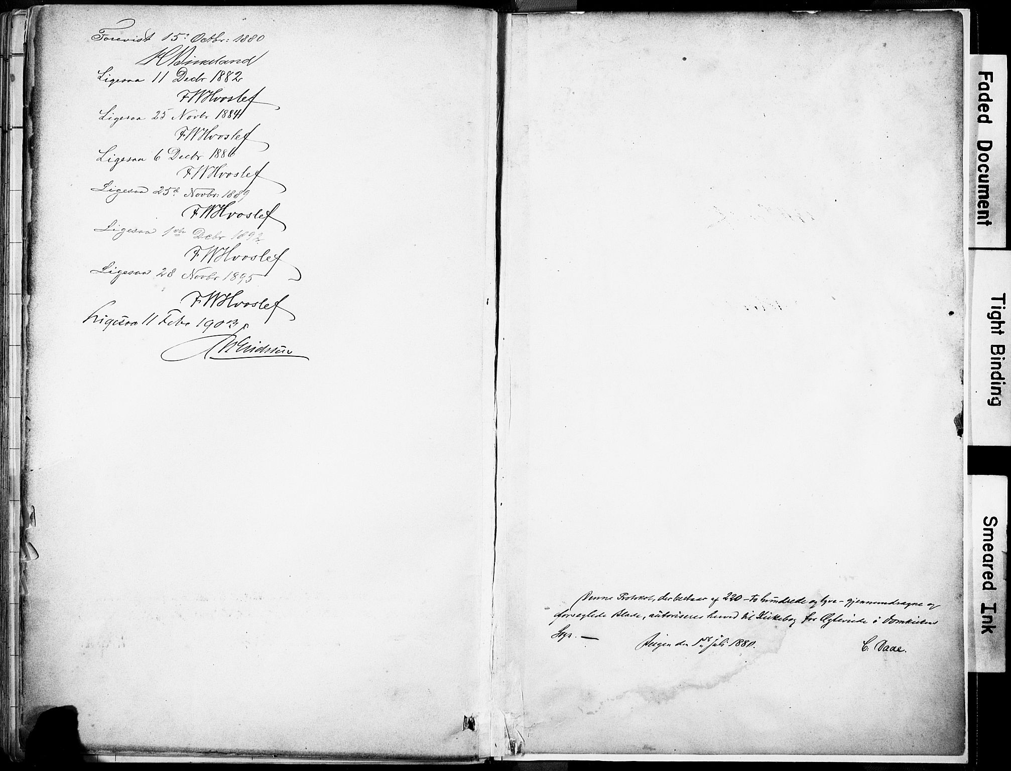 Domkirken sokneprestembete, AV/SAB-A-74801/H/Haa/L0037: Ministerialbok nr. D 4, 1880-1907