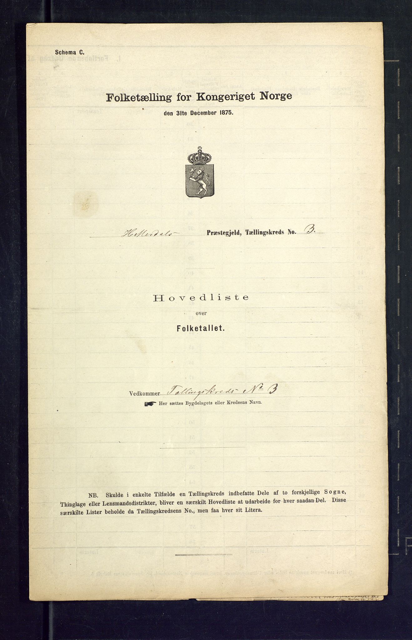 SAKO, Folketelling 1875 for 0823P Heddal prestegjeld, 1875, s. 14