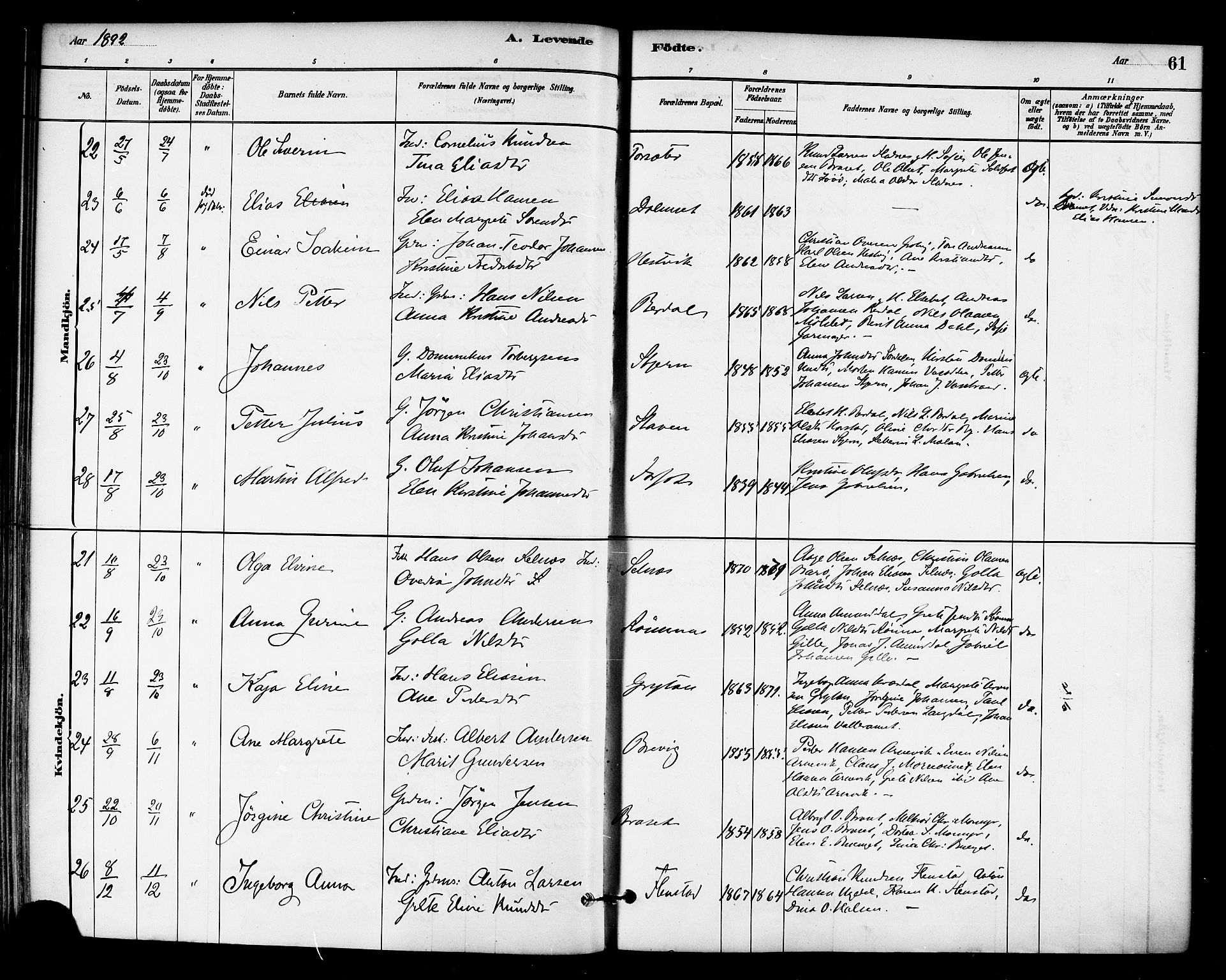 Ministerialprotokoller, klokkerbøker og fødselsregistre - Sør-Trøndelag, SAT/A-1456/655/L0680: Ministerialbok nr. 655A09, 1880-1894, s. 61