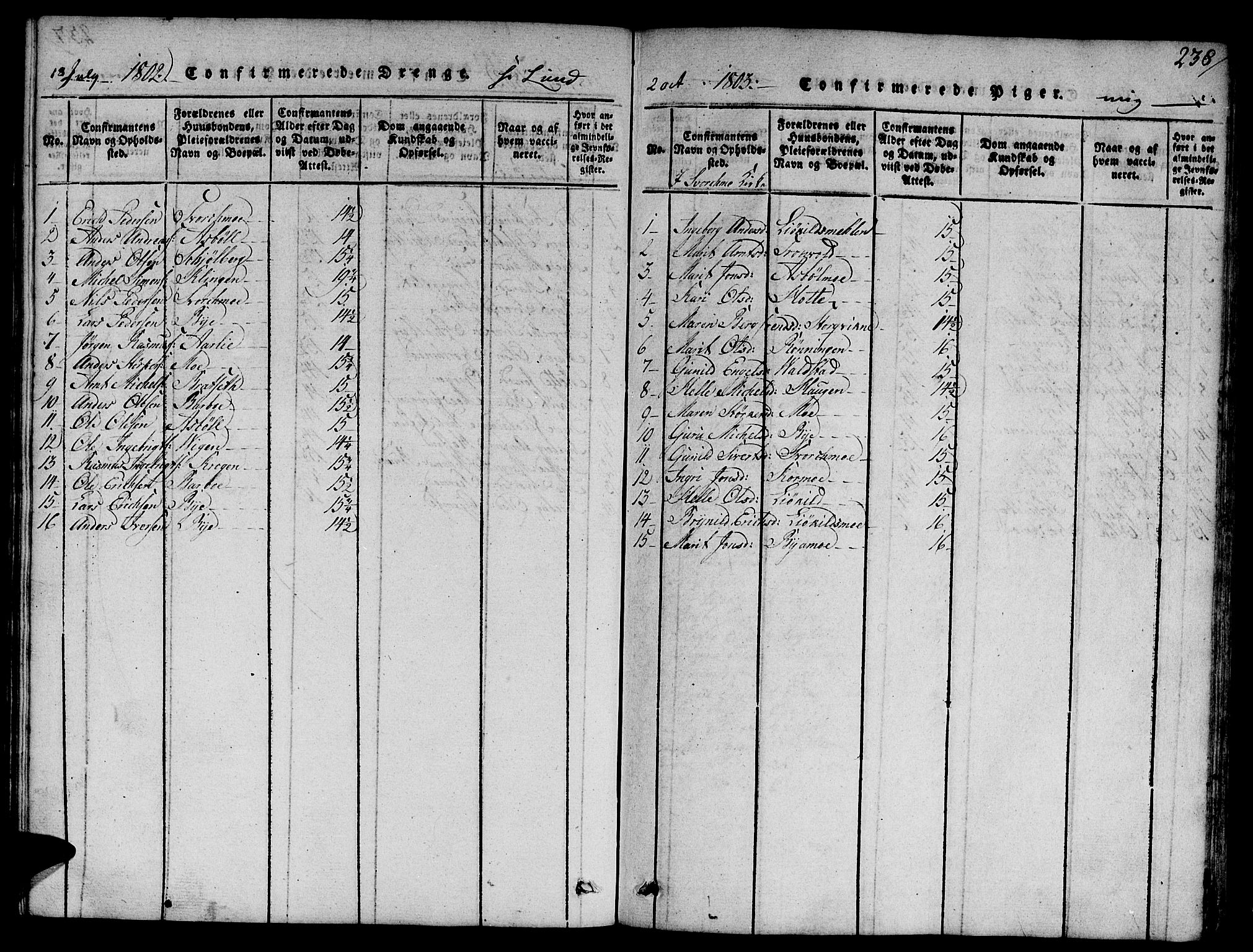 Ministerialprotokoller, klokkerbøker og fødselsregistre - Sør-Trøndelag, AV/SAT-A-1456/668/L0803: Ministerialbok nr. 668A03, 1800-1826, s. 238