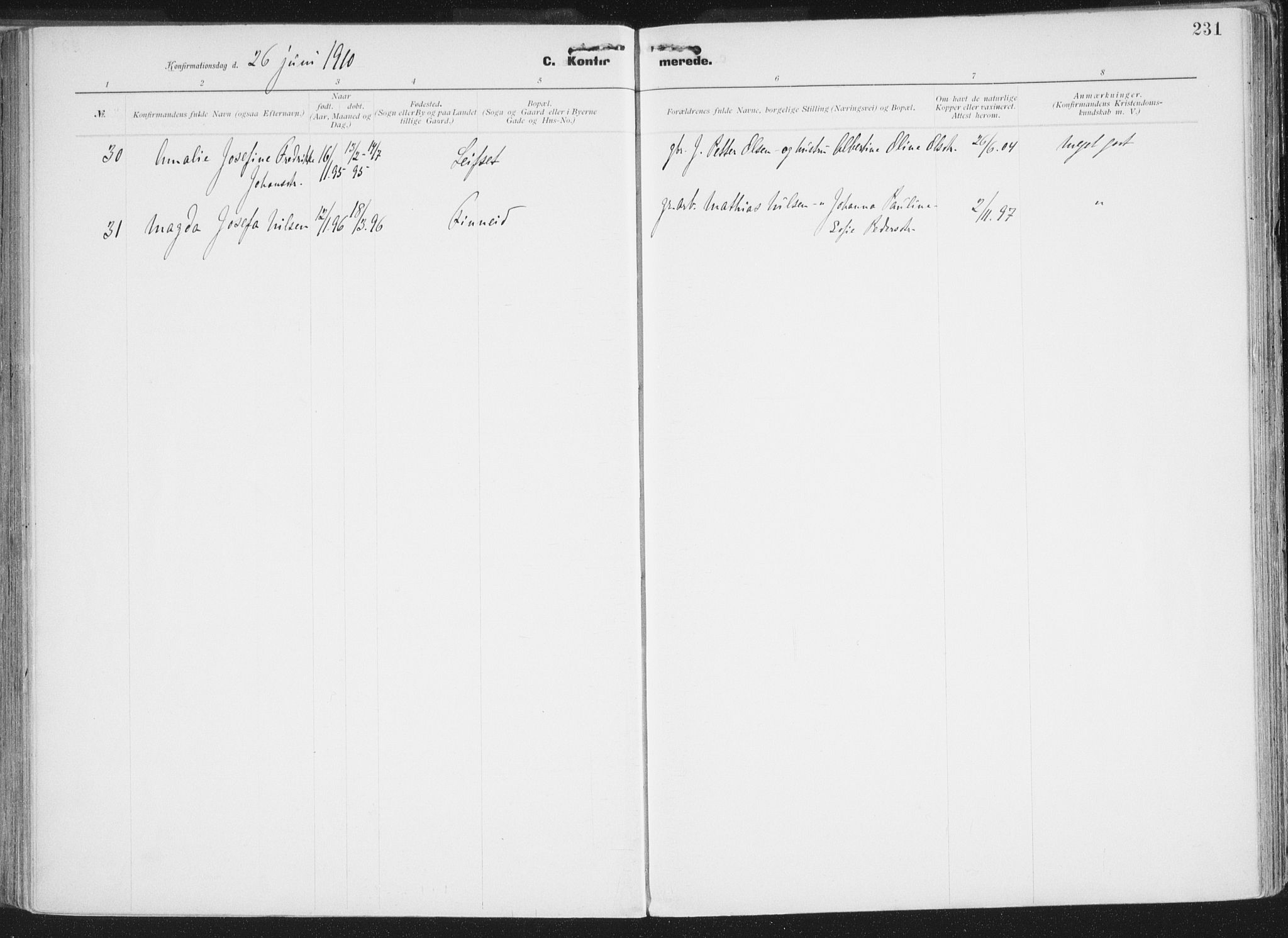 Ministerialprotokoller, klokkerbøker og fødselsregistre - Nordland, AV/SAT-A-1459/849/L0696: Ministerialbok nr. 849A08, 1898-1910, s. 231