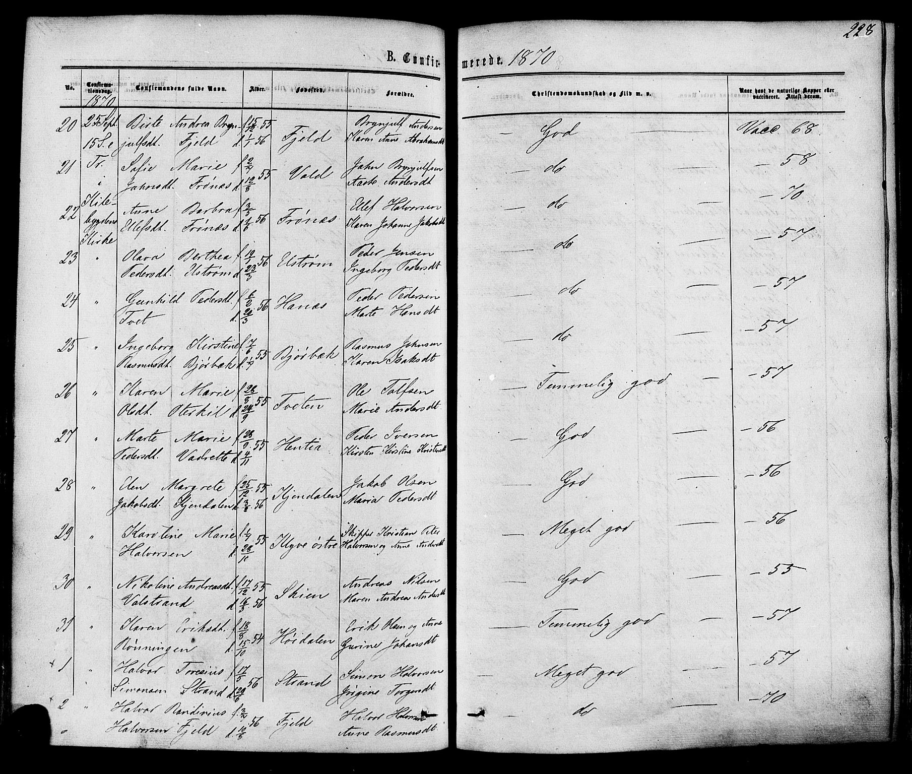 Solum kirkebøker, AV/SAKO-A-306/F/Fa/L0008: Ministerialbok nr. I 8, 1865-1876, s. 228