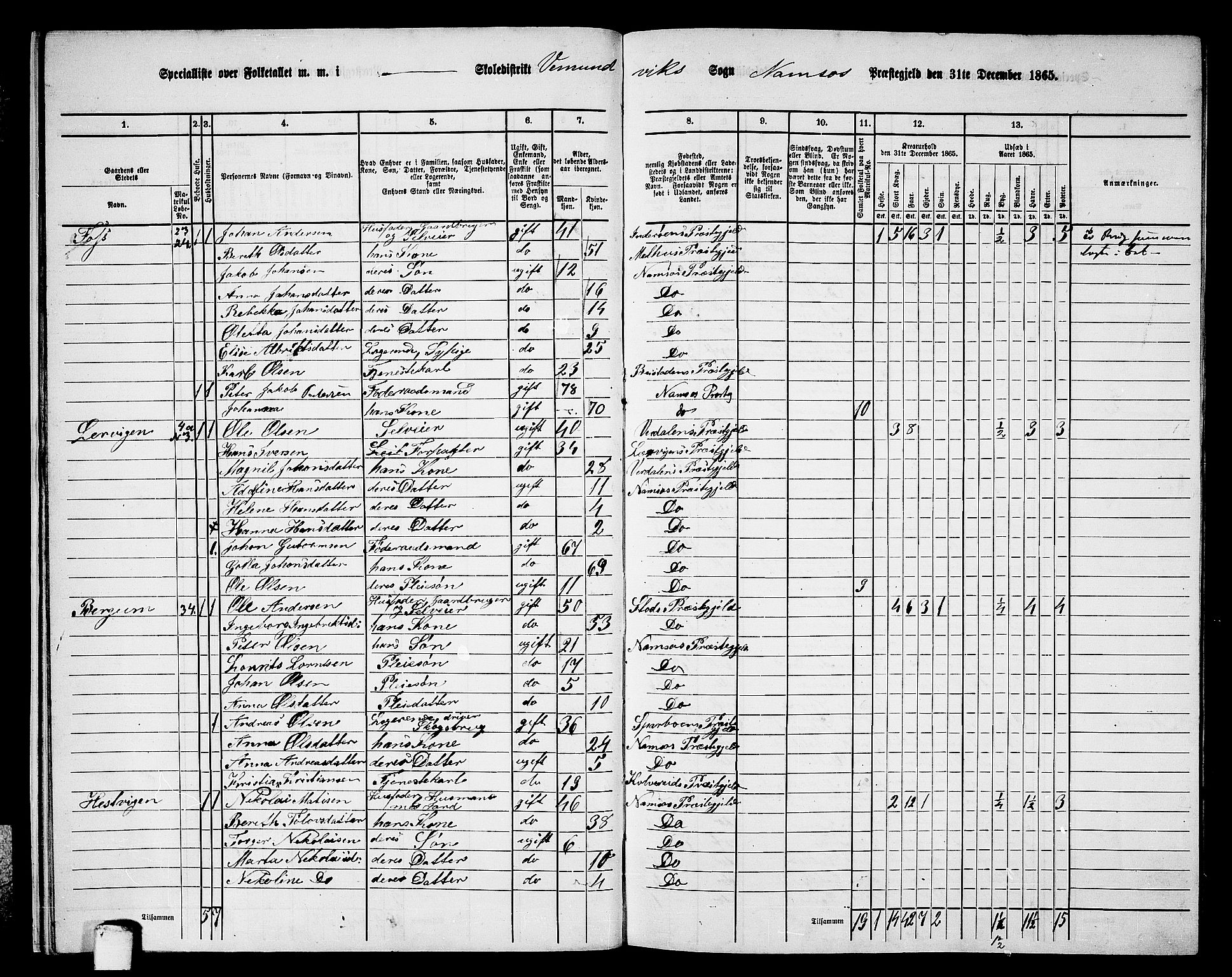 RA, Folketelling 1865 for 1745L Namsos prestegjeld, Vemundvik sokn og Sævik sokn, 1865, s. 14