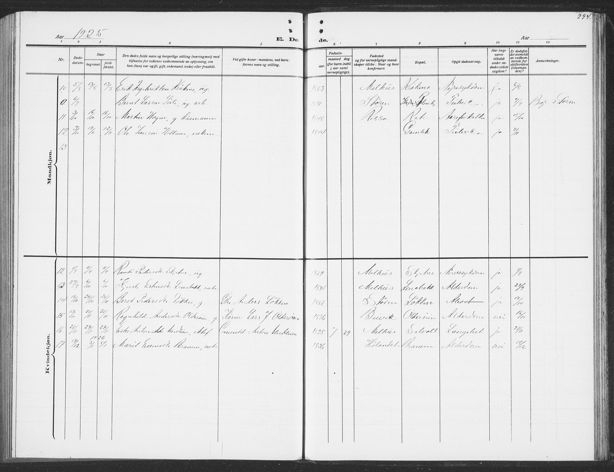 Ministerialprotokoller, klokkerbøker og fødselsregistre - Sør-Trøndelag, SAT/A-1456/691/L1095: Klokkerbok nr. 691C06, 1912-1933, s. 294