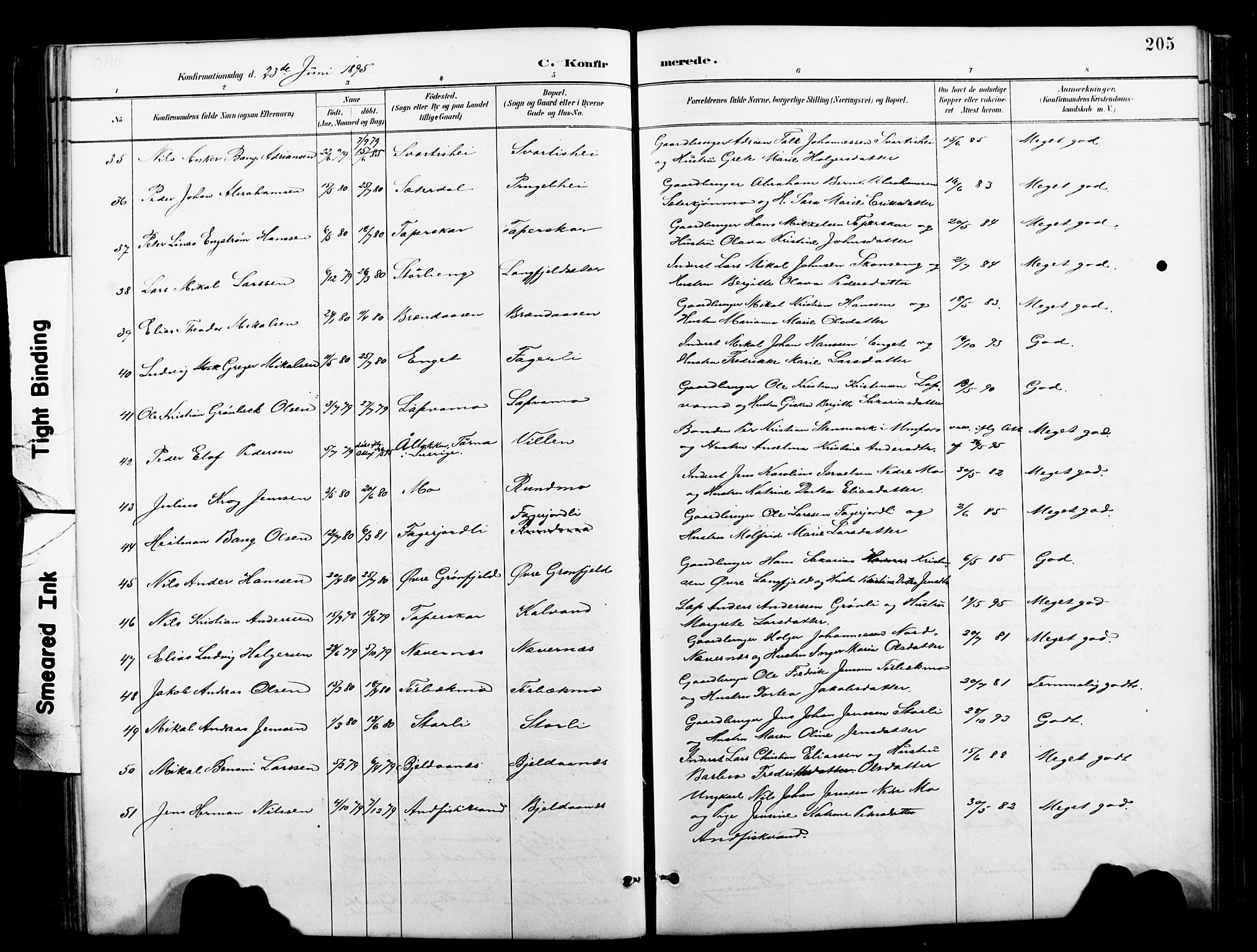 Ministerialprotokoller, klokkerbøker og fødselsregistre - Nordland, AV/SAT-A-1459/827/L0421: Klokkerbok nr. 827C10, 1887-1906, s. 205