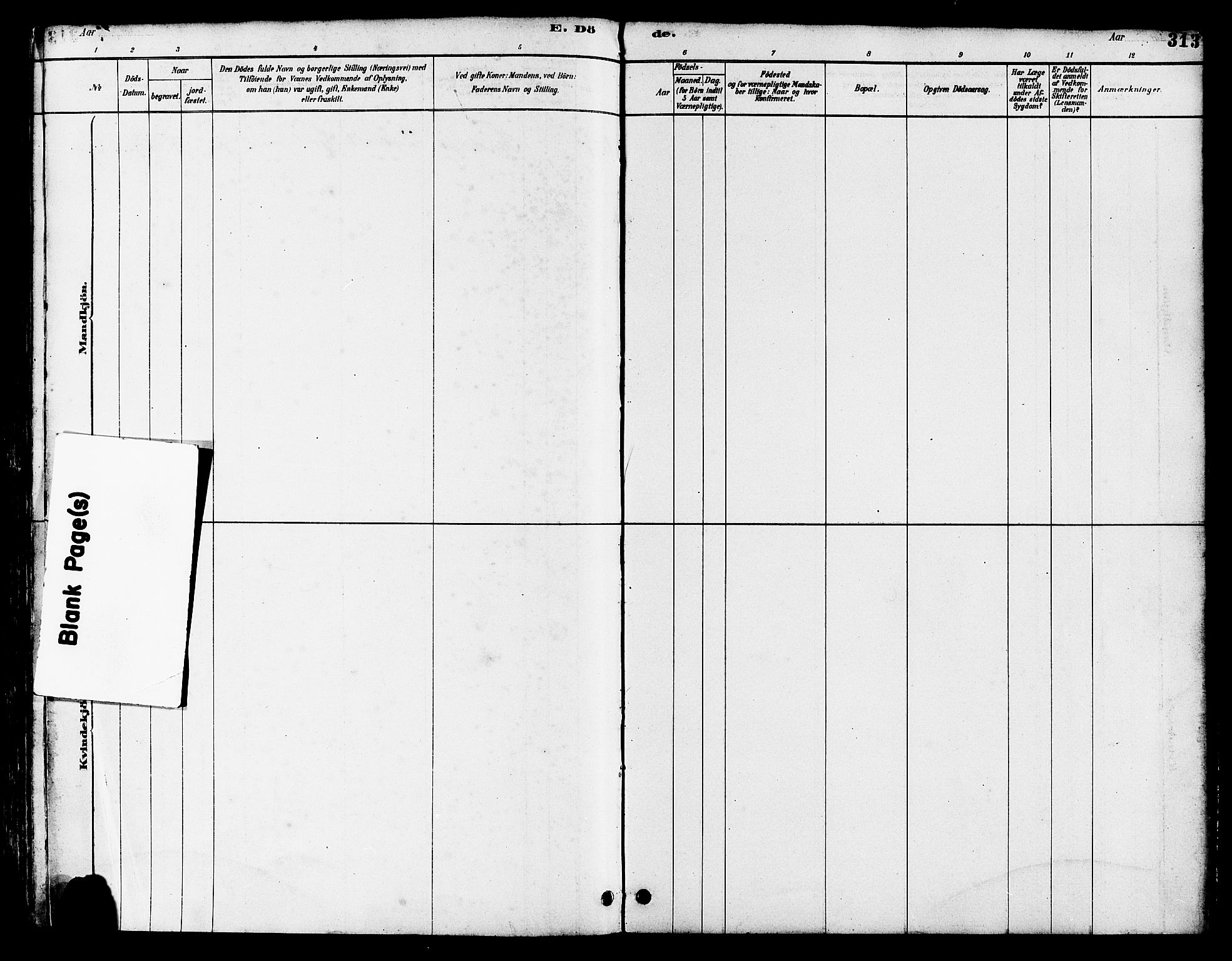 Hetland sokneprestkontor, SAST/A-101826/30/30BB/L0005: Klokkerbok nr. B 5, 1878-1910, s. 313