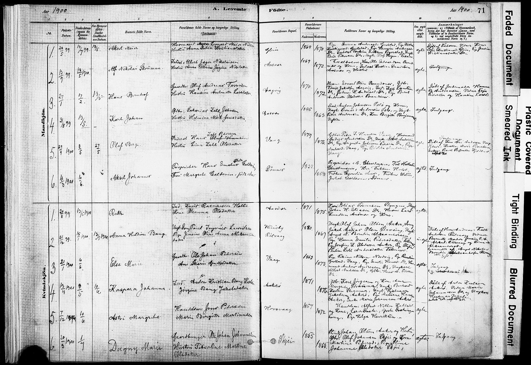 Ministerialprotokoller, klokkerbøker og fødselsregistre - Nordland, SAT/A-1459/835/L0525: Ministerialbok nr. 835A03I, 1881-1910, s. 71