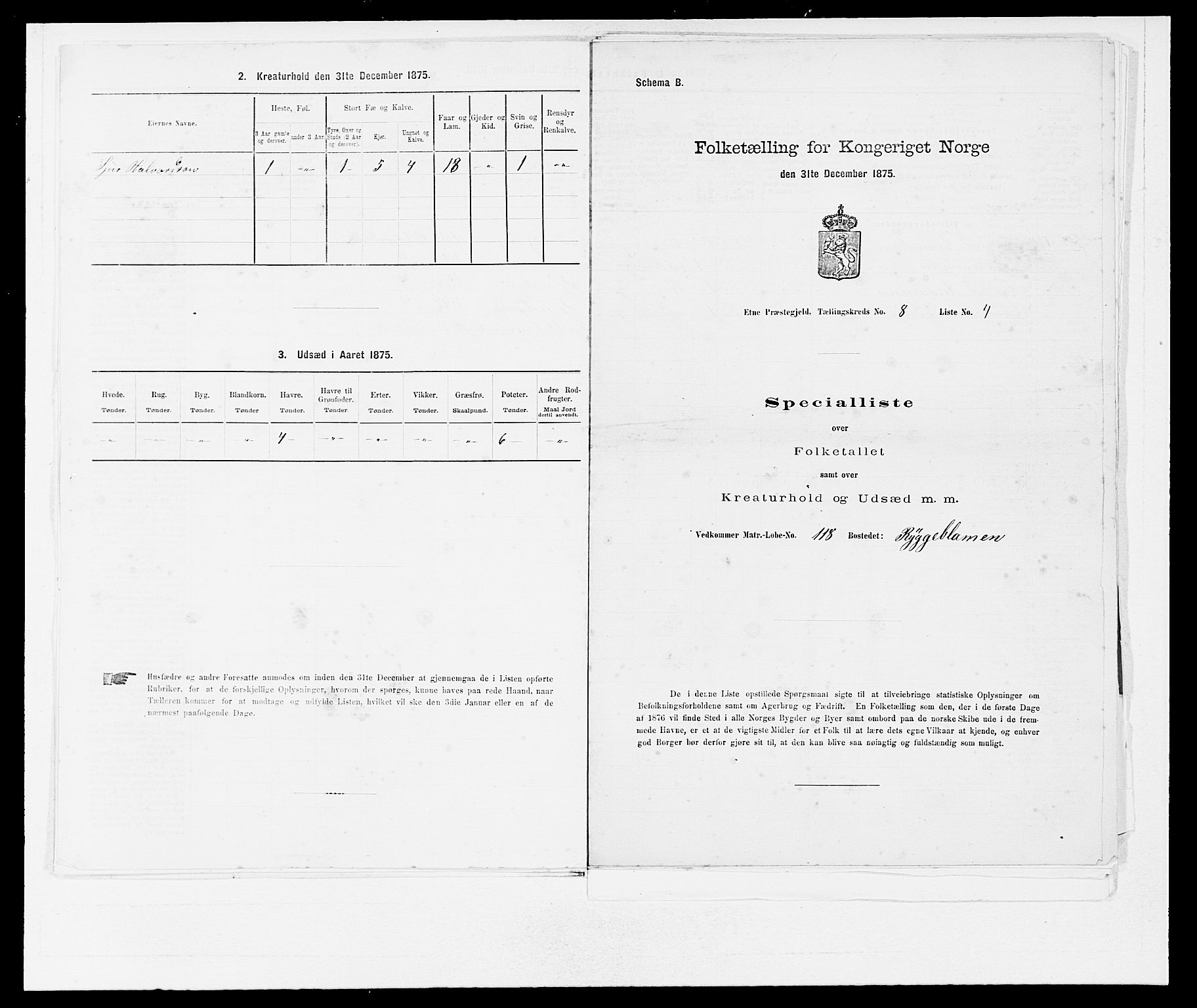 SAB, Folketelling 1875 for 1211P Etne prestegjeld, 1875, s. 598