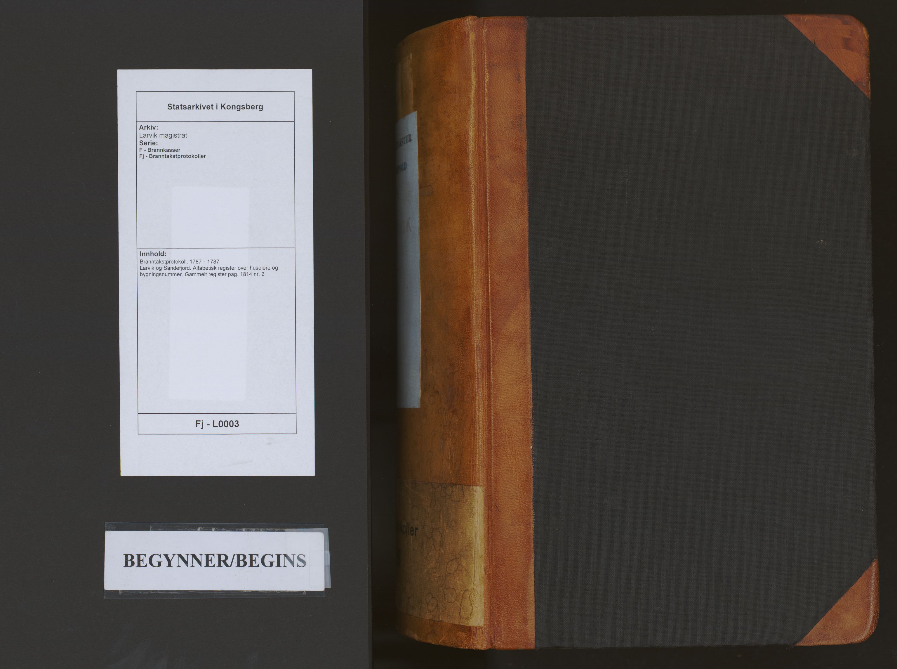 Larvik magistrat, SAKO/A-851/F/Fj/L0003: Branntakstprotokoll, 1787