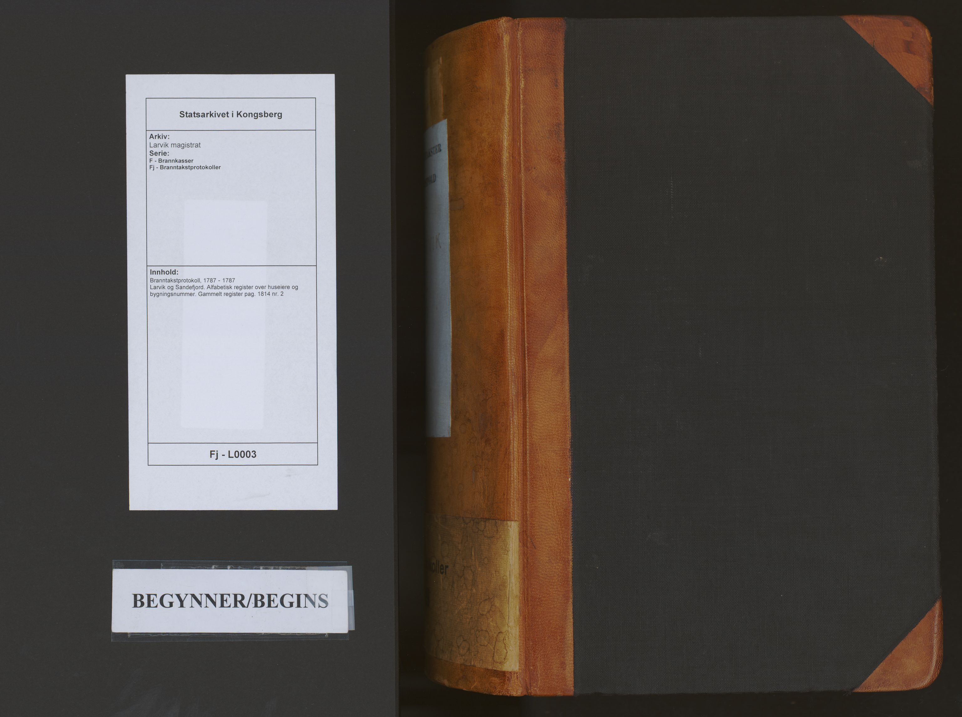 Larvik magistrat, AV/SAKO-A-851/F/Fj/L0003: Branntakstprotokoll, 1787