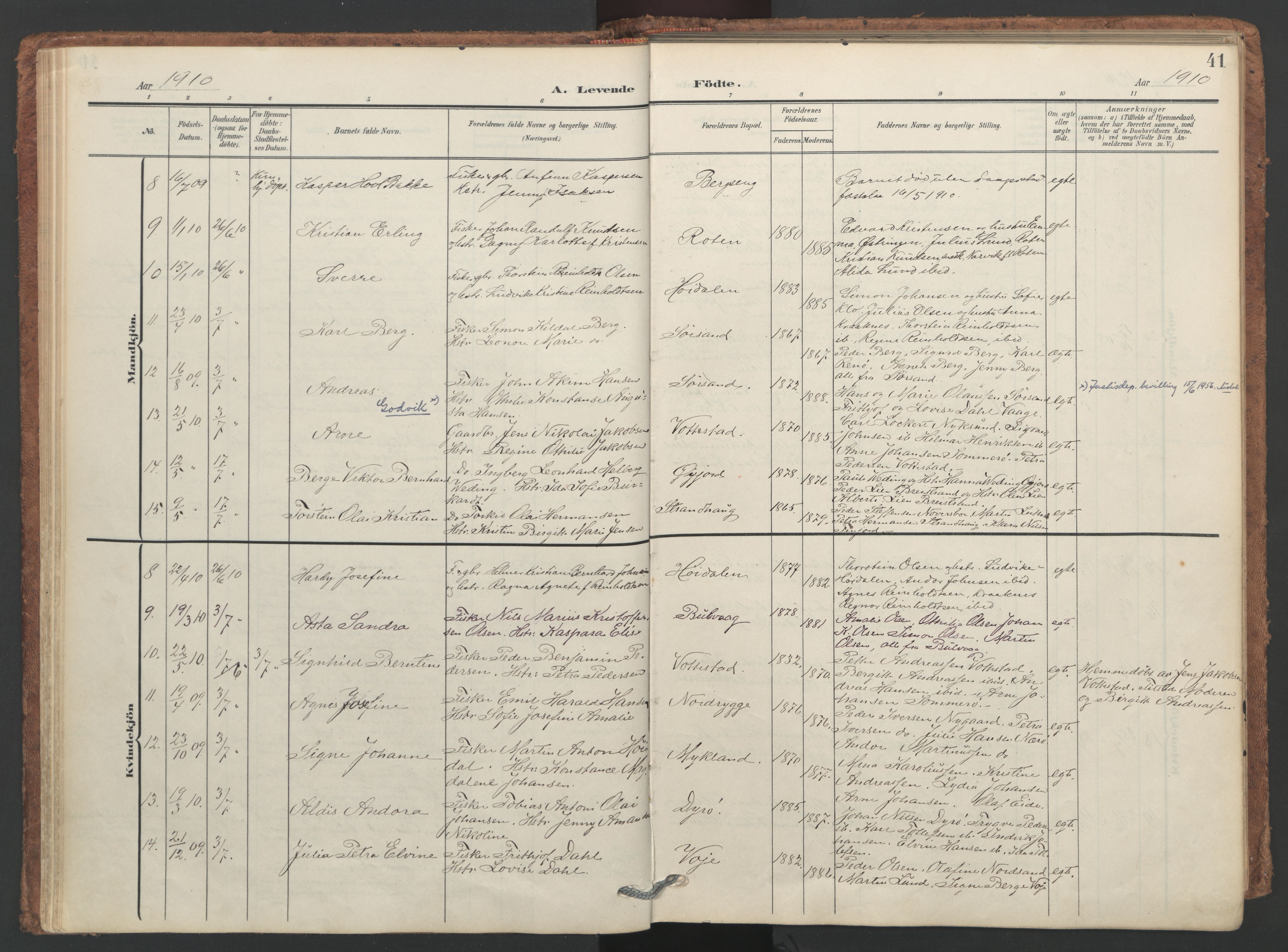 Ministerialprotokoller, klokkerbøker og fødselsregistre - Nordland, AV/SAT-A-1459/893/L1339: Ministerialbok nr. 893A11, 1904-1914, s. 41