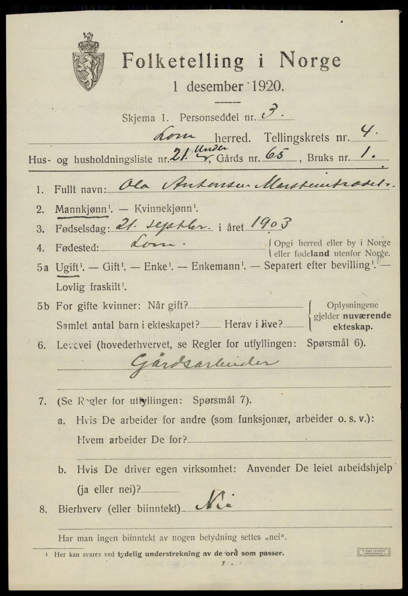 SAH, Folketelling 1920 for 0514 Lom herred, 1920, s. 2864