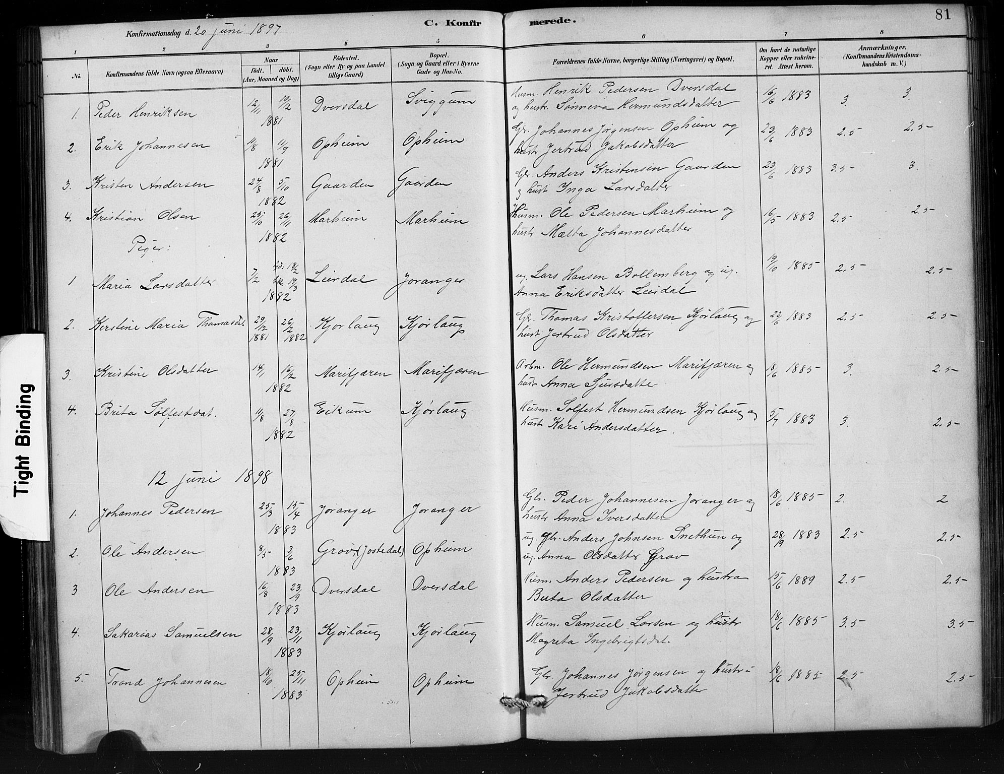 Jostedal sokneprestembete, AV/SAB-A-80601/H/Hab/Habd/L0001: Klokkerbok nr. D 1, 1882-1910, s. 81