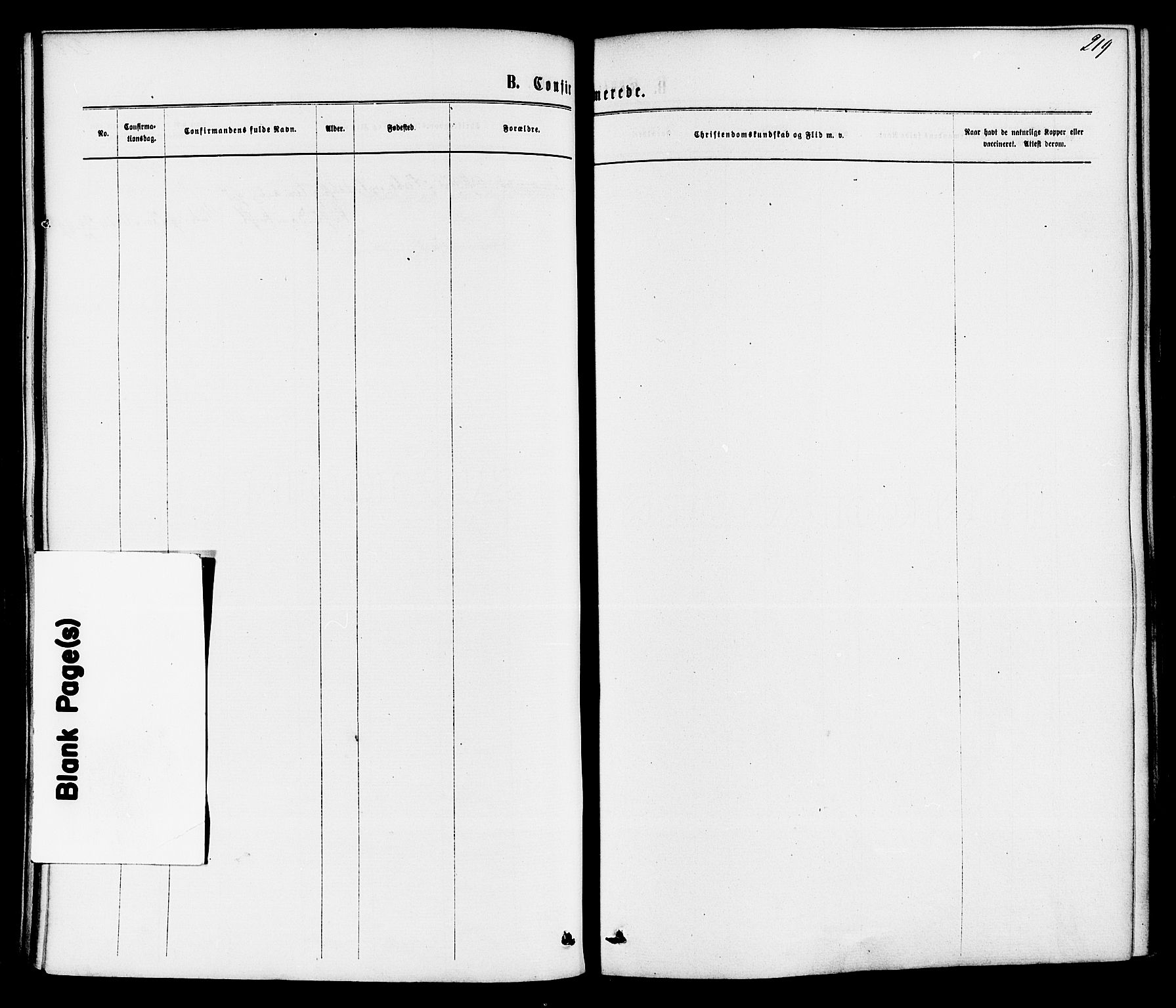 Bamble kirkebøker, SAKO/A-253/F/Fa/L0006: Ministerialbok nr. I 6, 1869-1877, s. 219