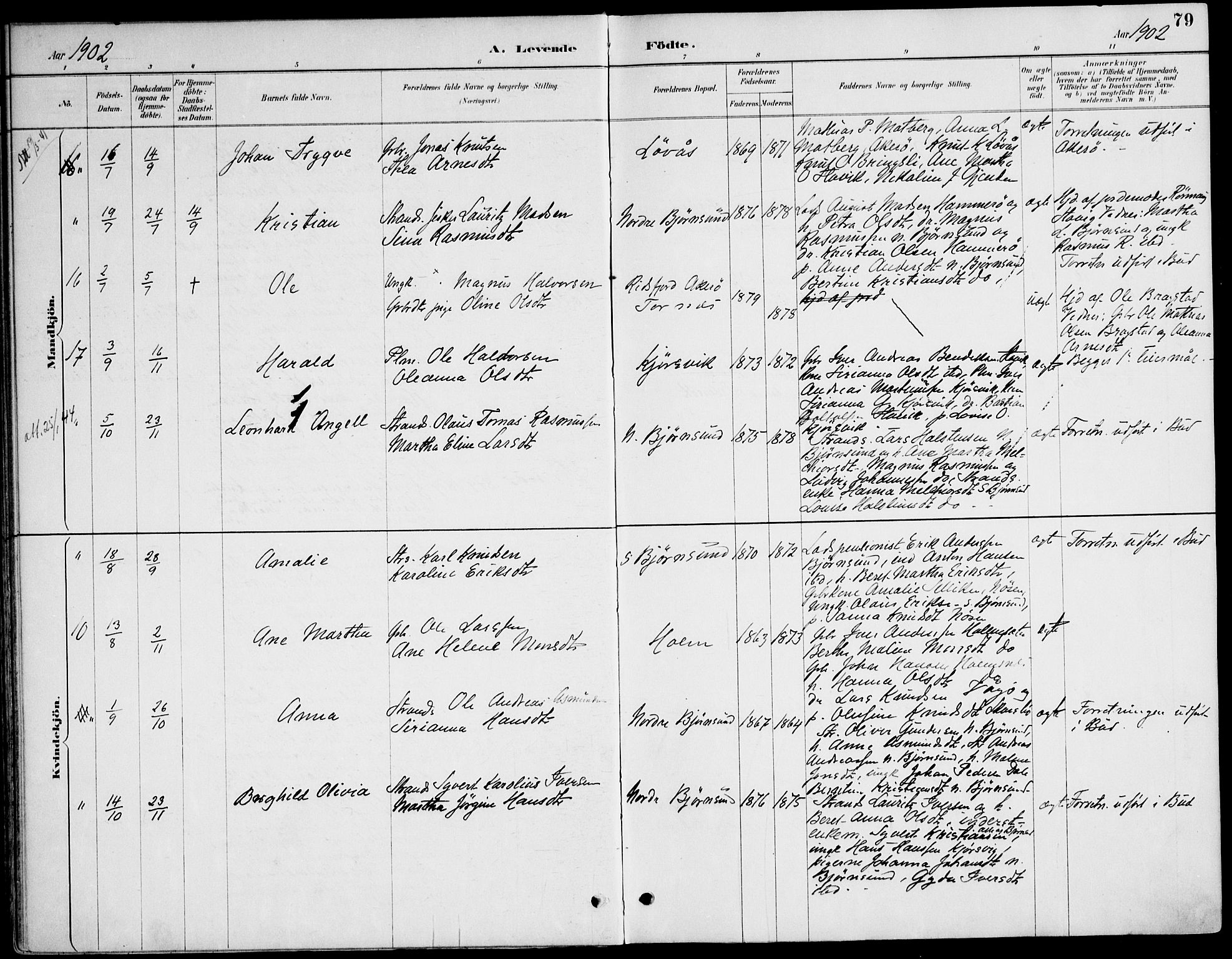 Ministerialprotokoller, klokkerbøker og fødselsregistre - Møre og Romsdal, AV/SAT-A-1454/565/L0750: Ministerialbok nr. 565A04, 1887-1905, s. 79