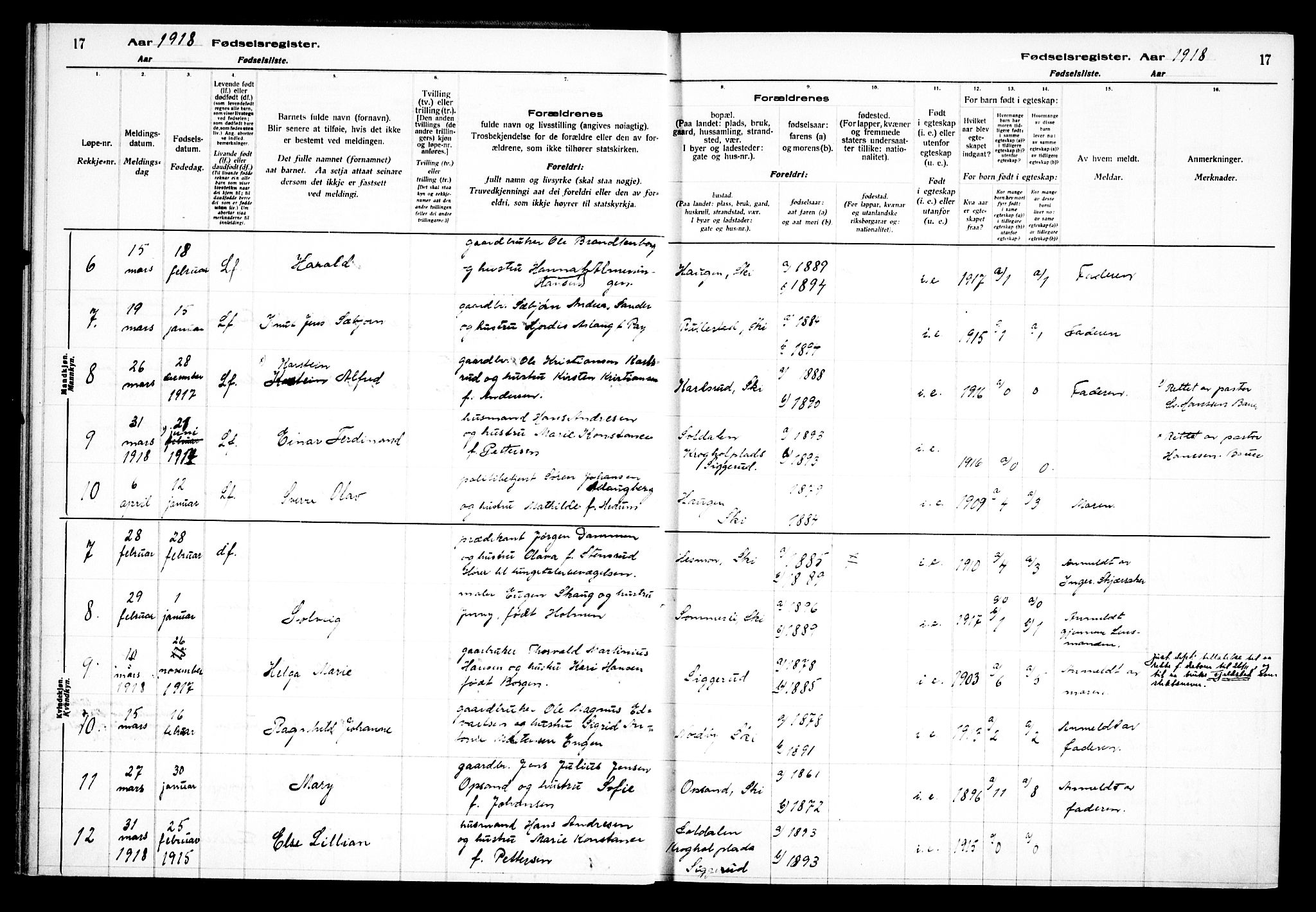 Kråkstad prestekontor Kirkebøker, AV/SAO-A-10125a/J/Jb/L0001: Fødselsregister nr. II 1, 1916-1936, s. 17