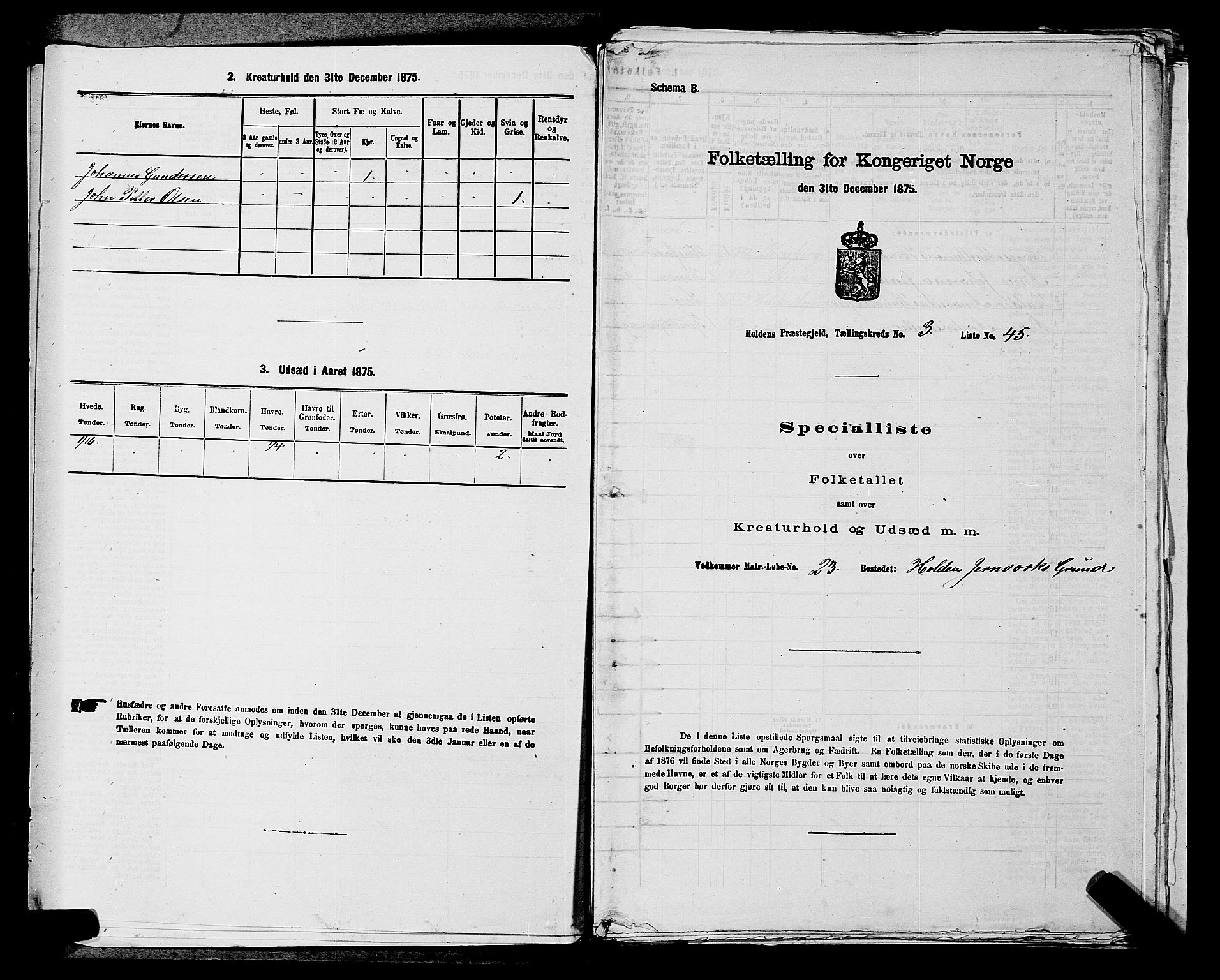 SAKO, Folketelling 1875 for 0819P Holla prestegjeld, 1875, s. 372