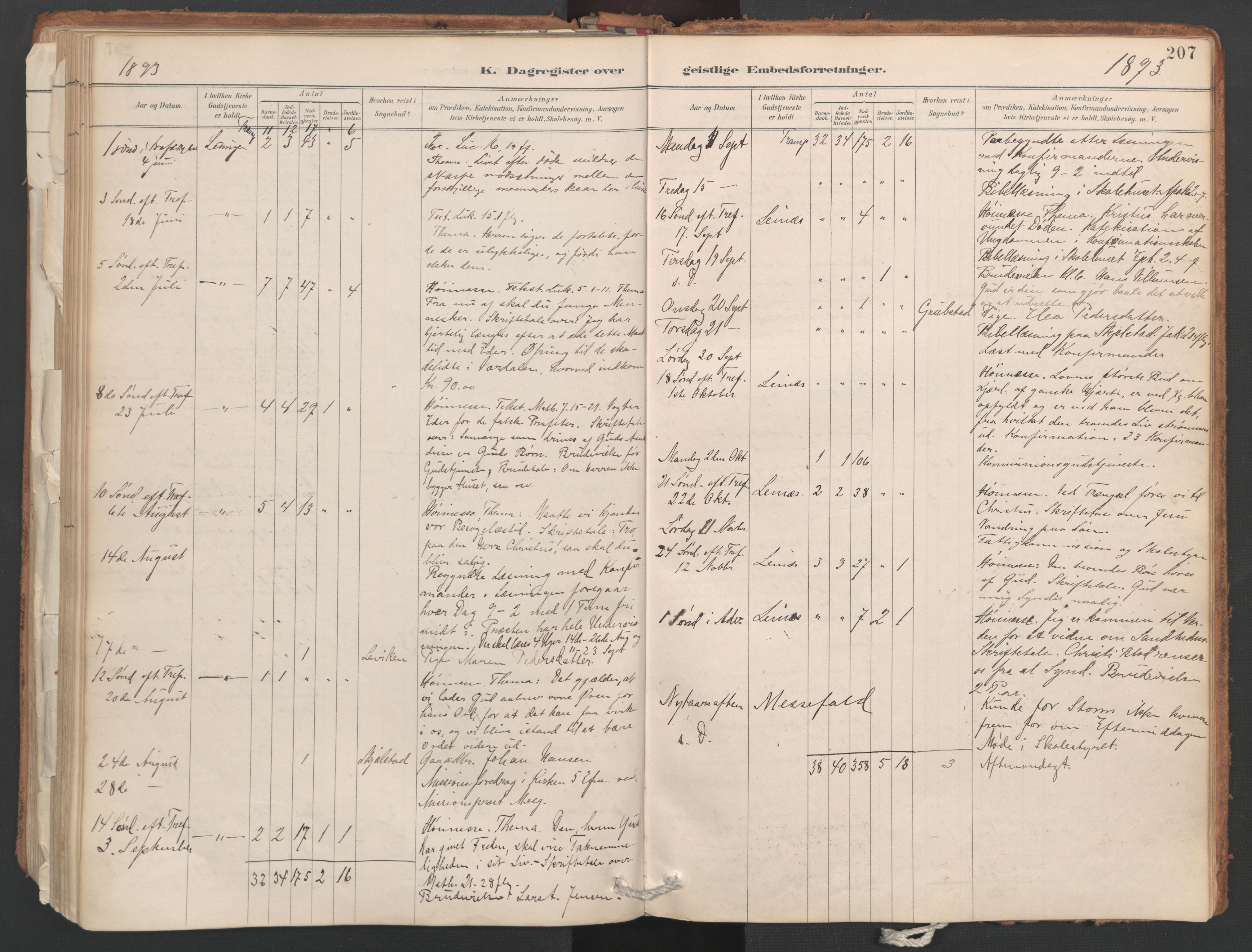 Ministerialprotokoller, klokkerbøker og fødselsregistre - Nordland, AV/SAT-A-1459/857/L0822: Ministerialbok nr. 857A02, 1890-1917, s. 207