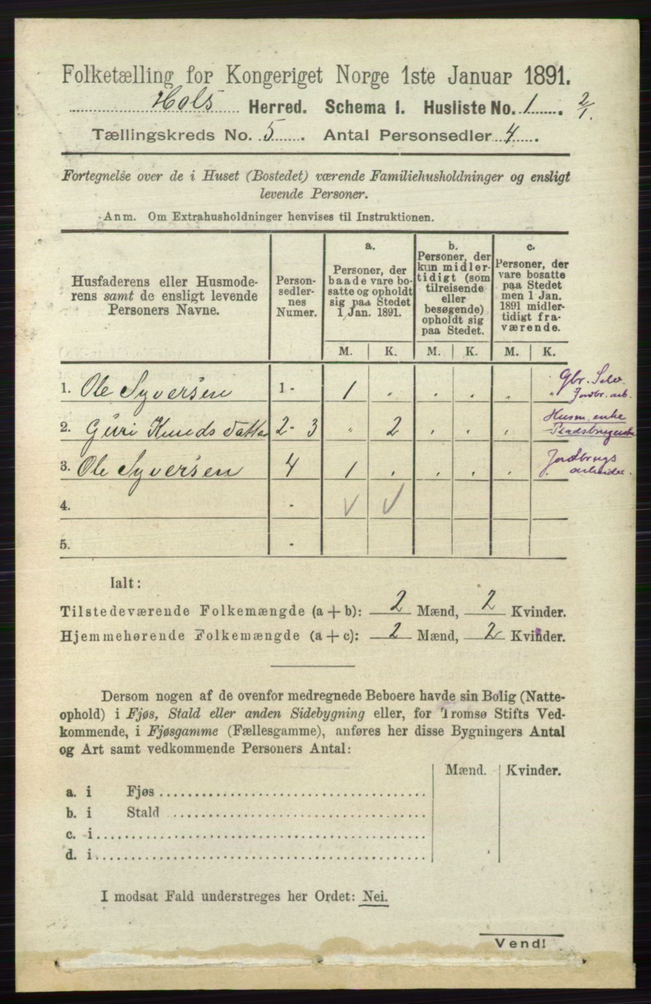 RA, Folketelling 1891 for 0620 Hol herred, 1891, s. 1418