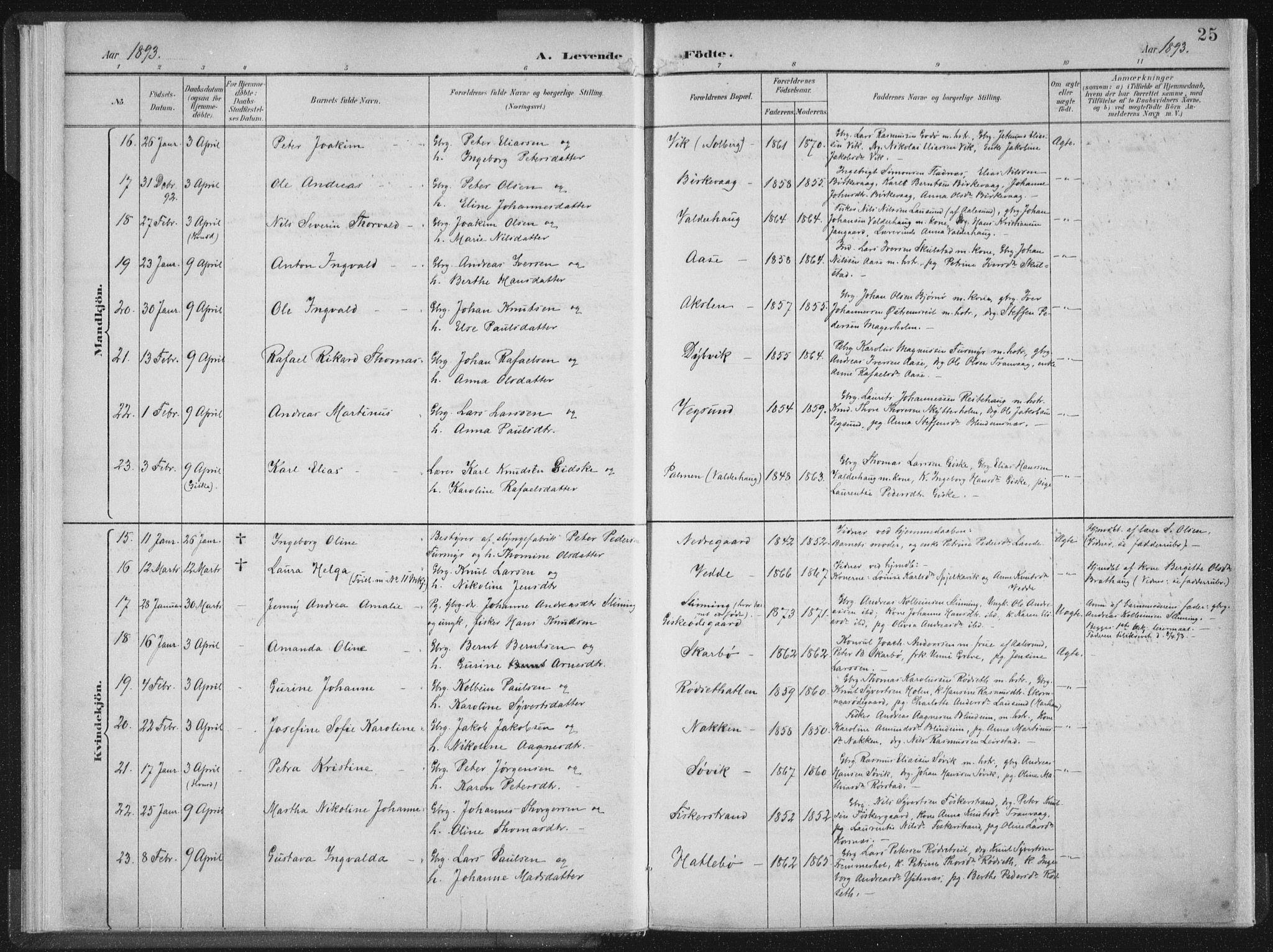 Ministerialprotokoller, klokkerbøker og fødselsregistre - Møre og Romsdal, AV/SAT-A-1454/528/L0405: Ministerialbok nr. 528A14, 1891-1906, s. 25