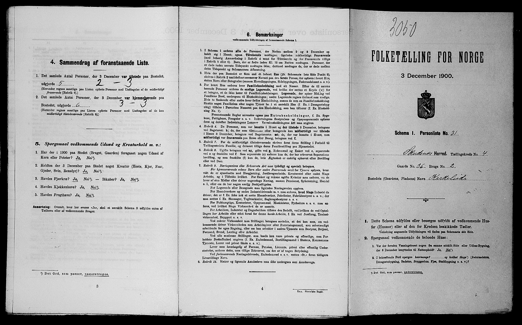 SAST, Folketelling 1900 for 1150 Skudenes herred, 1900, s. 617