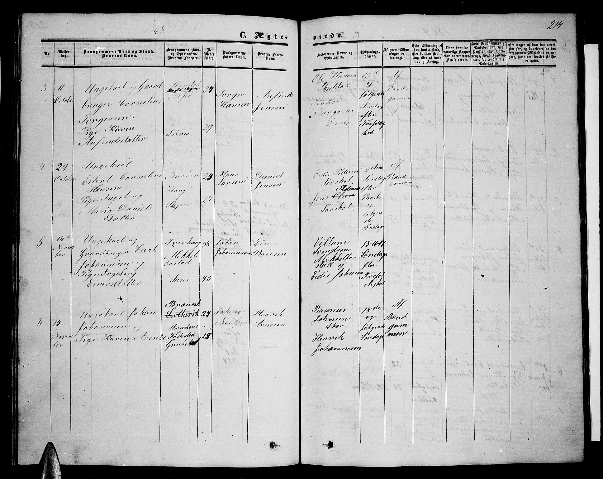 Ministerialprotokoller, klokkerbøker og fødselsregistre - Nordland, SAT/A-1459/857/L0827: Klokkerbok nr. 857C02, 1852-1879, s. 214