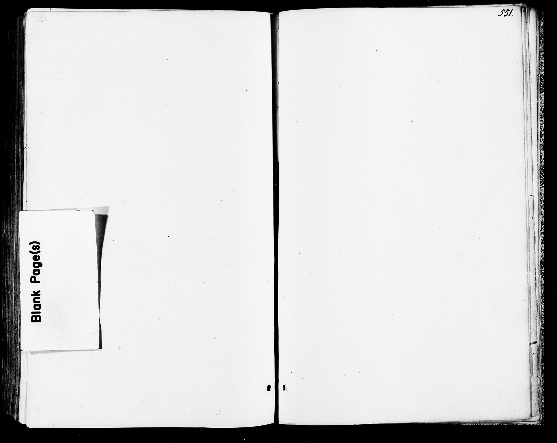 Vinger prestekontor, AV/SAH-PREST-024/H/Ha/Haa/L0012: Ministerialbok nr. 12, 1871-1880, s. 551