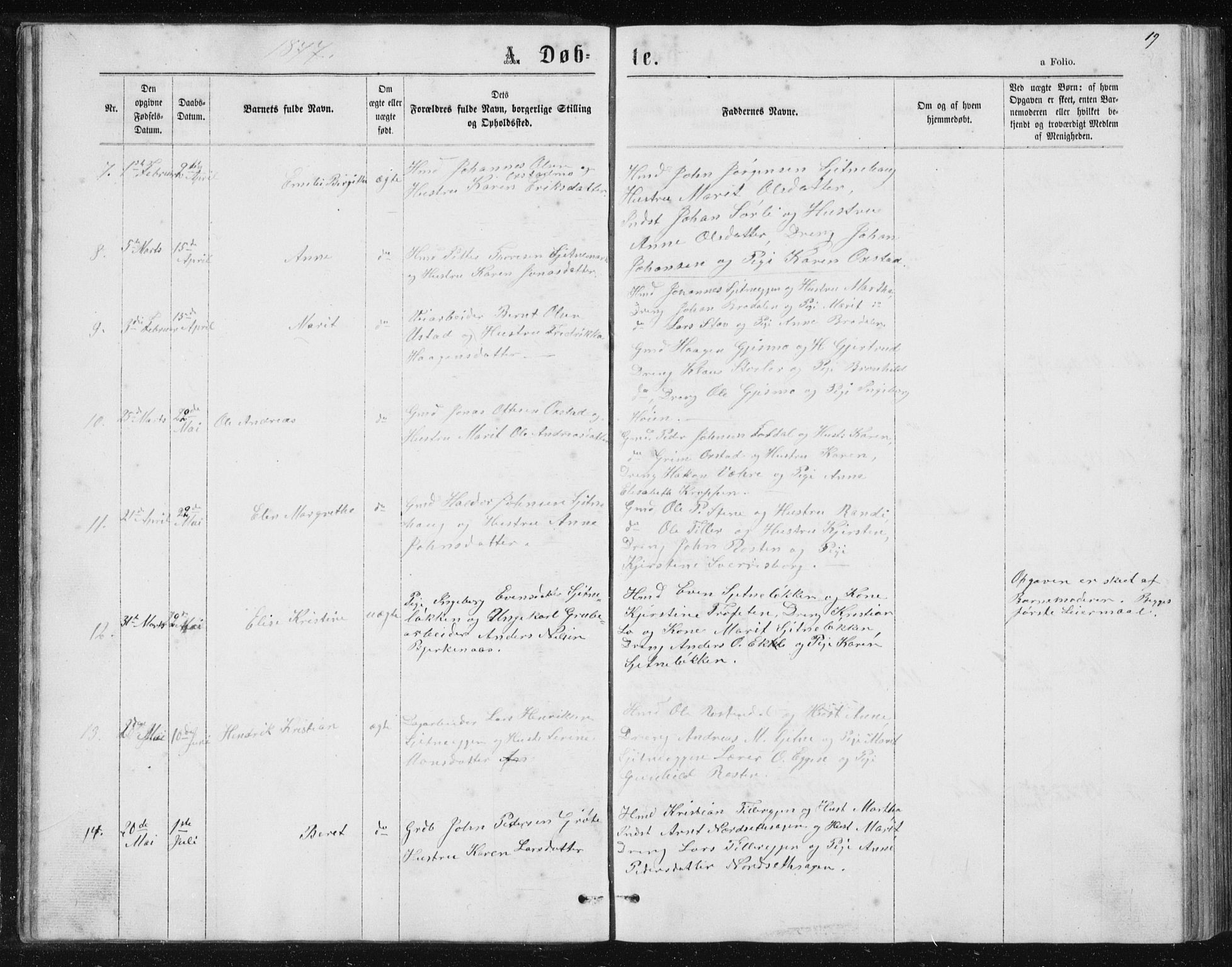 Ministerialprotokoller, klokkerbøker og fødselsregistre - Sør-Trøndelag, SAT/A-1456/621/L0459: Klokkerbok nr. 621C02, 1866-1895, s. 19
