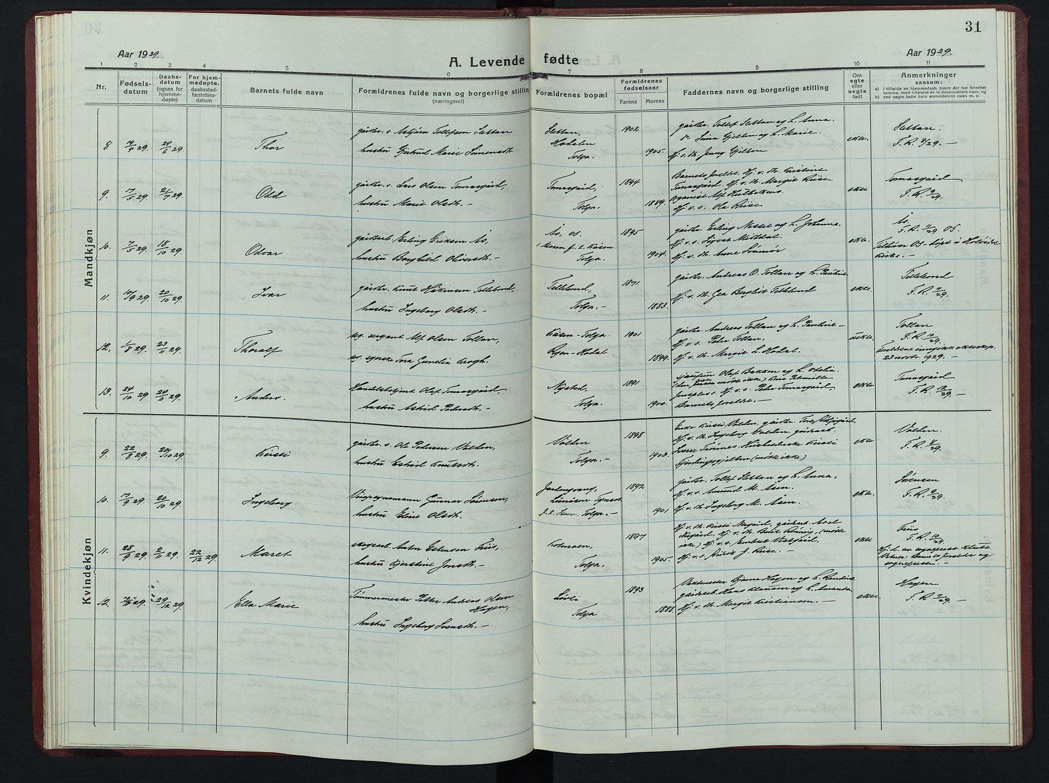 Tolga prestekontor, AV/SAH-PREST-062/L/L0016: Klokkerbok nr. 16, 1919-1947, s. 31