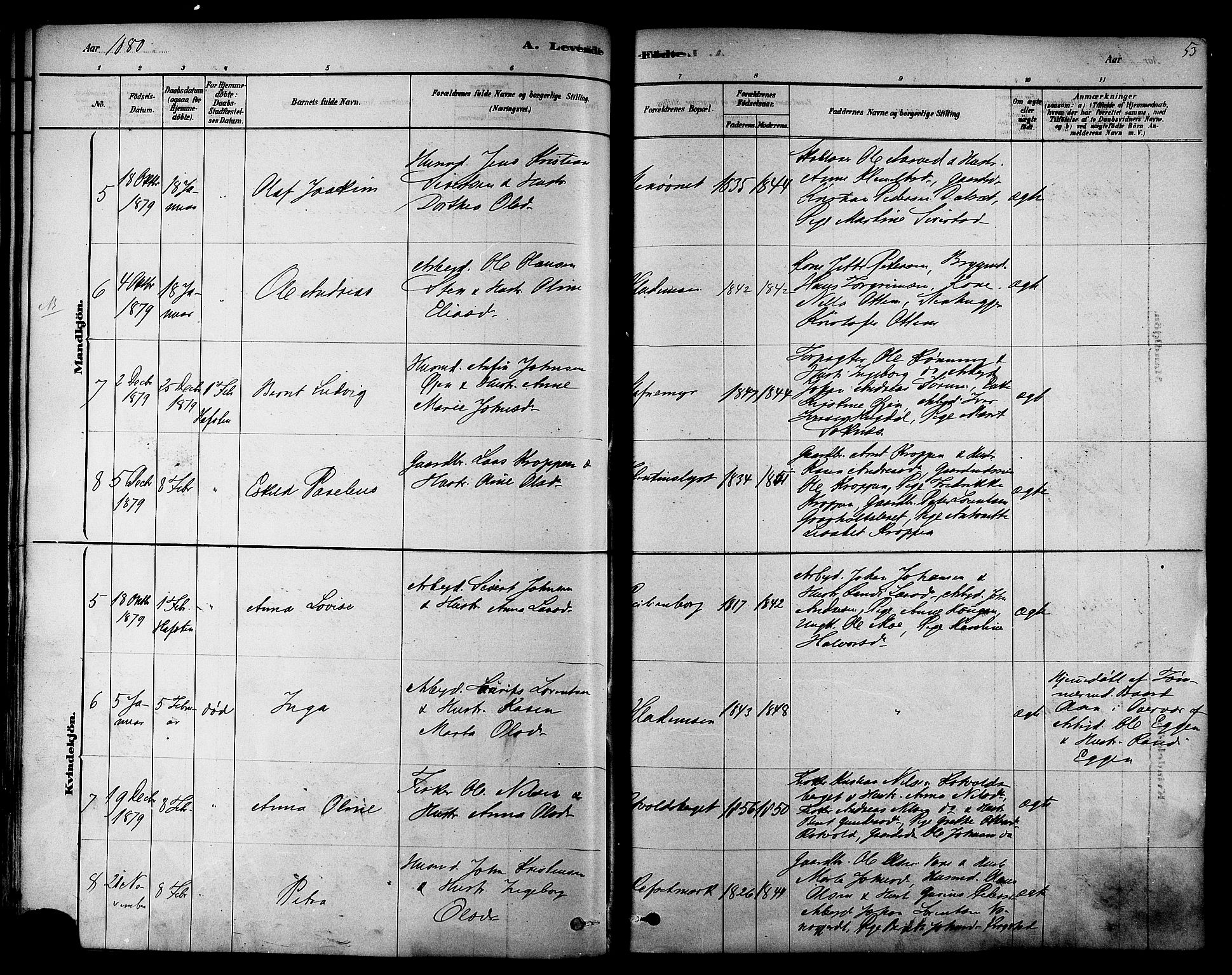 Ministerialprotokoller, klokkerbøker og fødselsregistre - Sør-Trøndelag, SAT/A-1456/606/L0294: Ministerialbok nr. 606A09, 1878-1886, s. 53