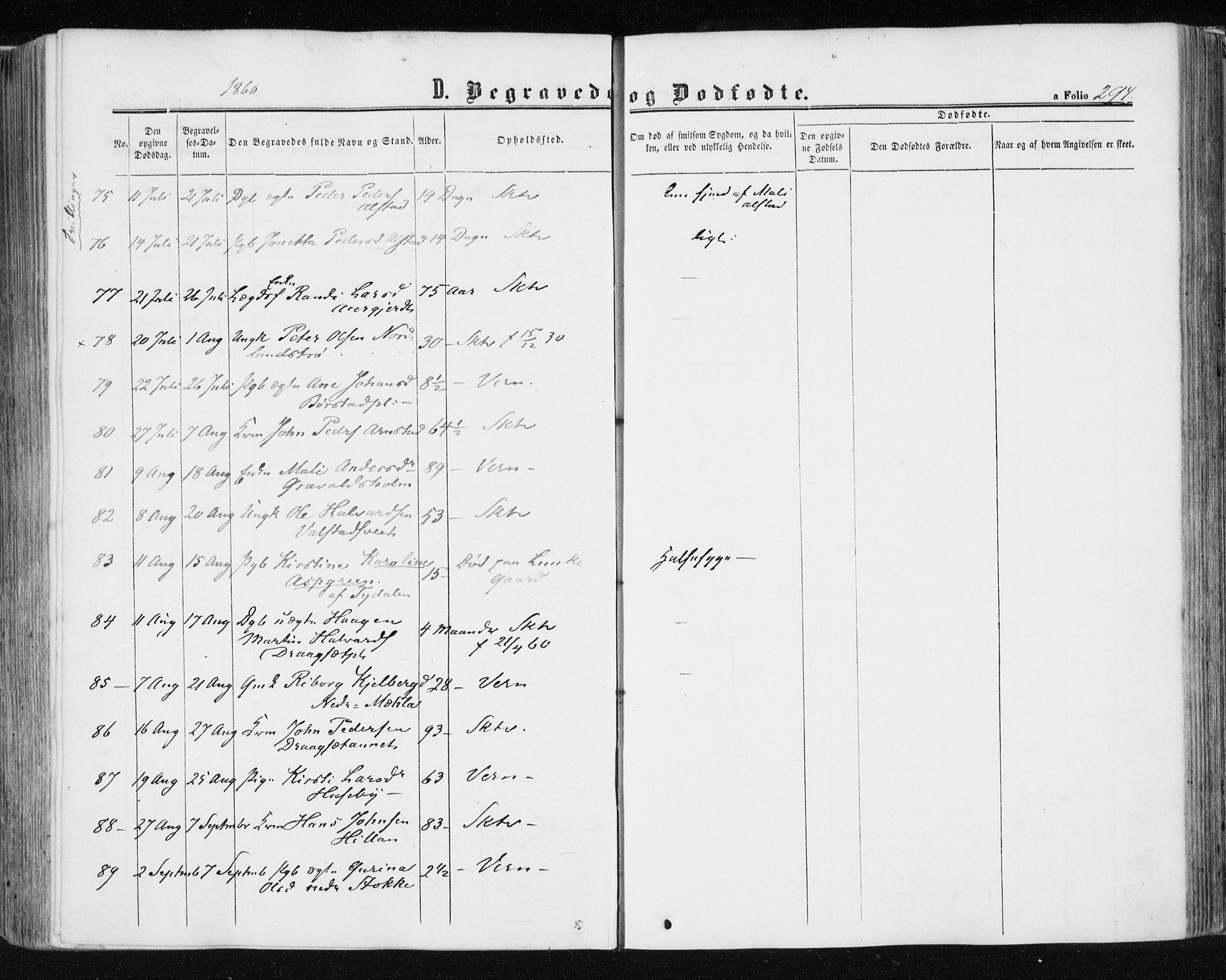 Ministerialprotokoller, klokkerbøker og fødselsregistre - Nord-Trøndelag, AV/SAT-A-1458/709/L0075: Ministerialbok nr. 709A15, 1859-1870, s. 294
